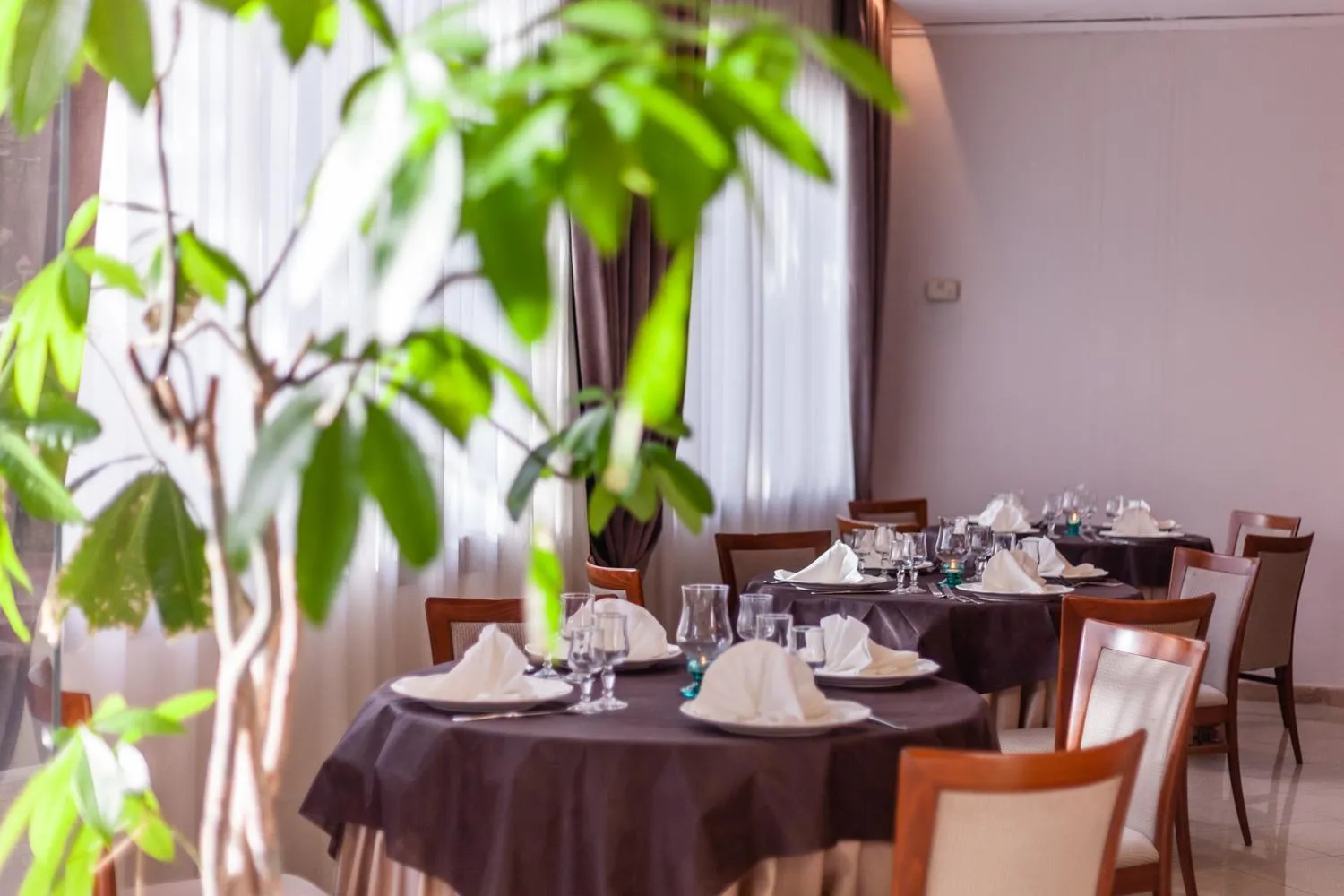 Restaurant/places to eat in Europa Palace Hotel