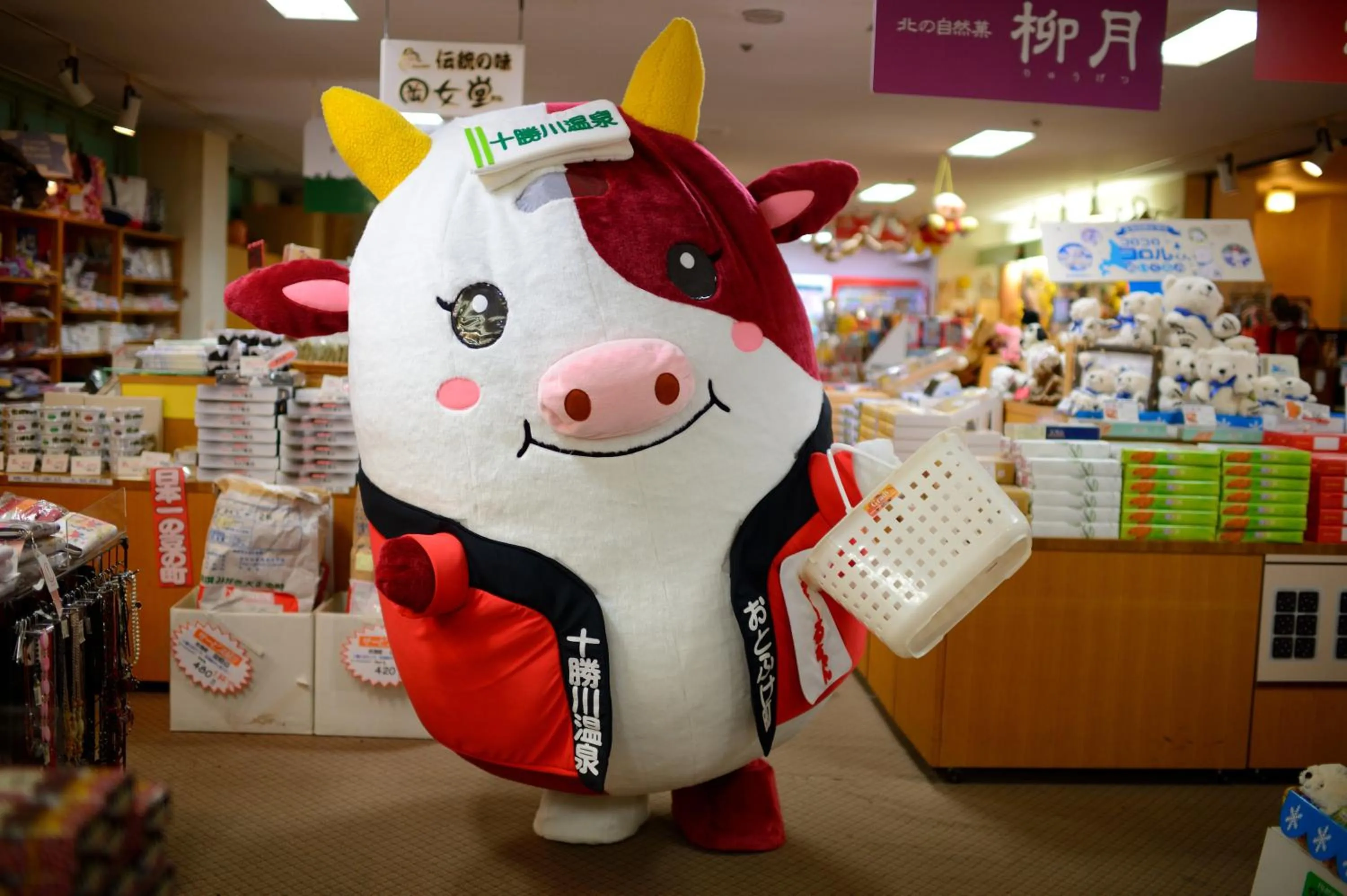 Other in Hotel Daiheigen