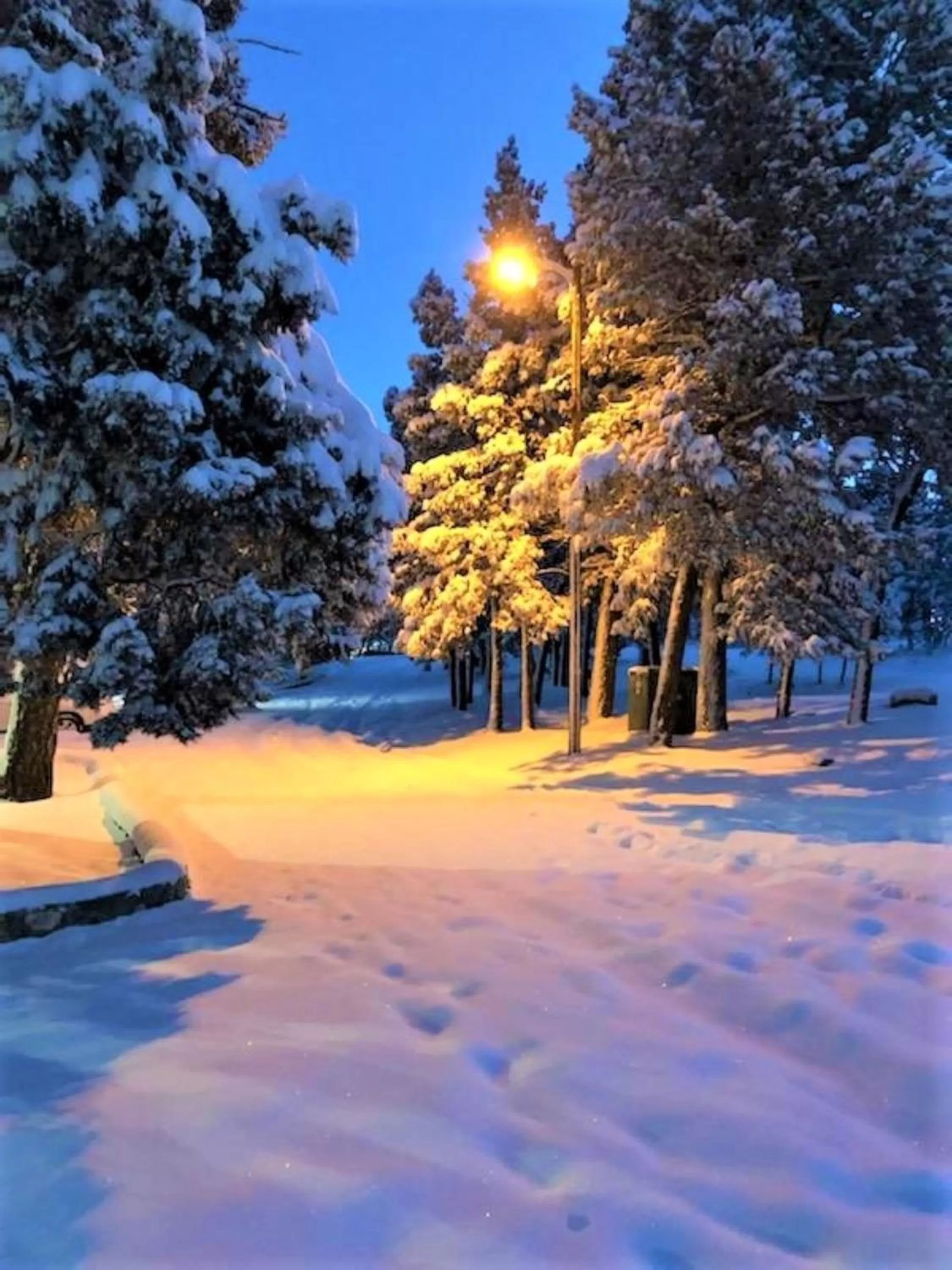 Natural landscape in High Sierra Condominiums