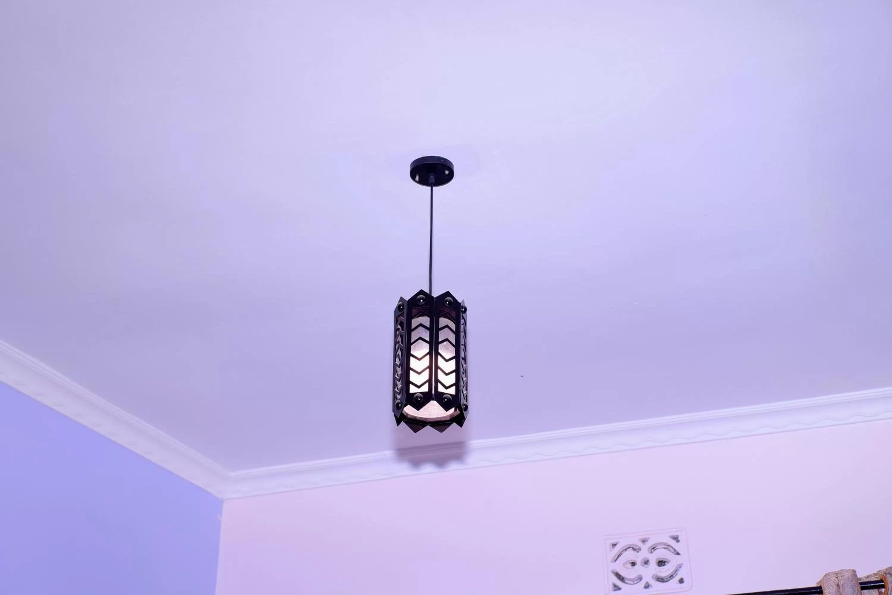 Restaurant/places to eat in Safari Park House