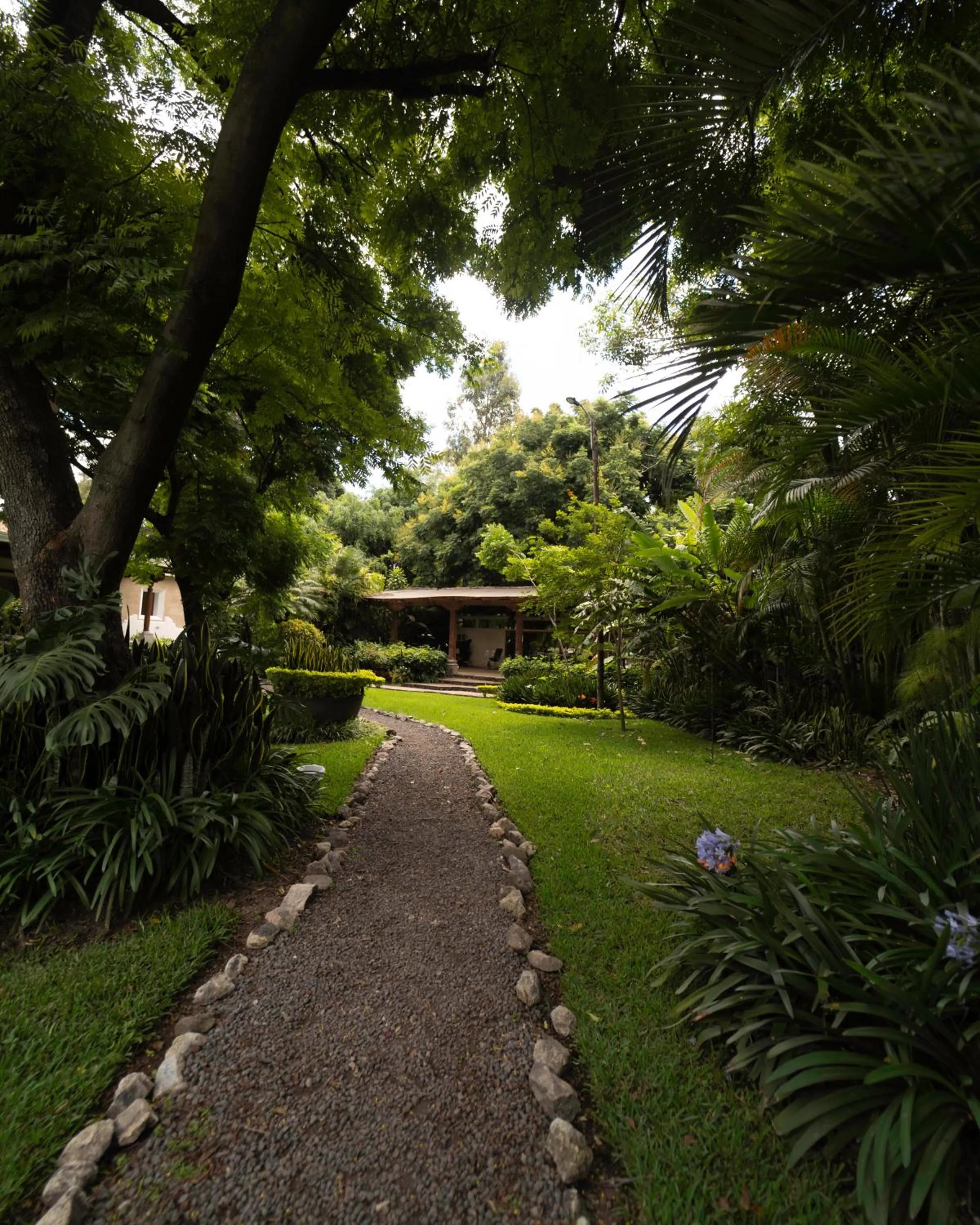Garden in Hotel Real Plaza