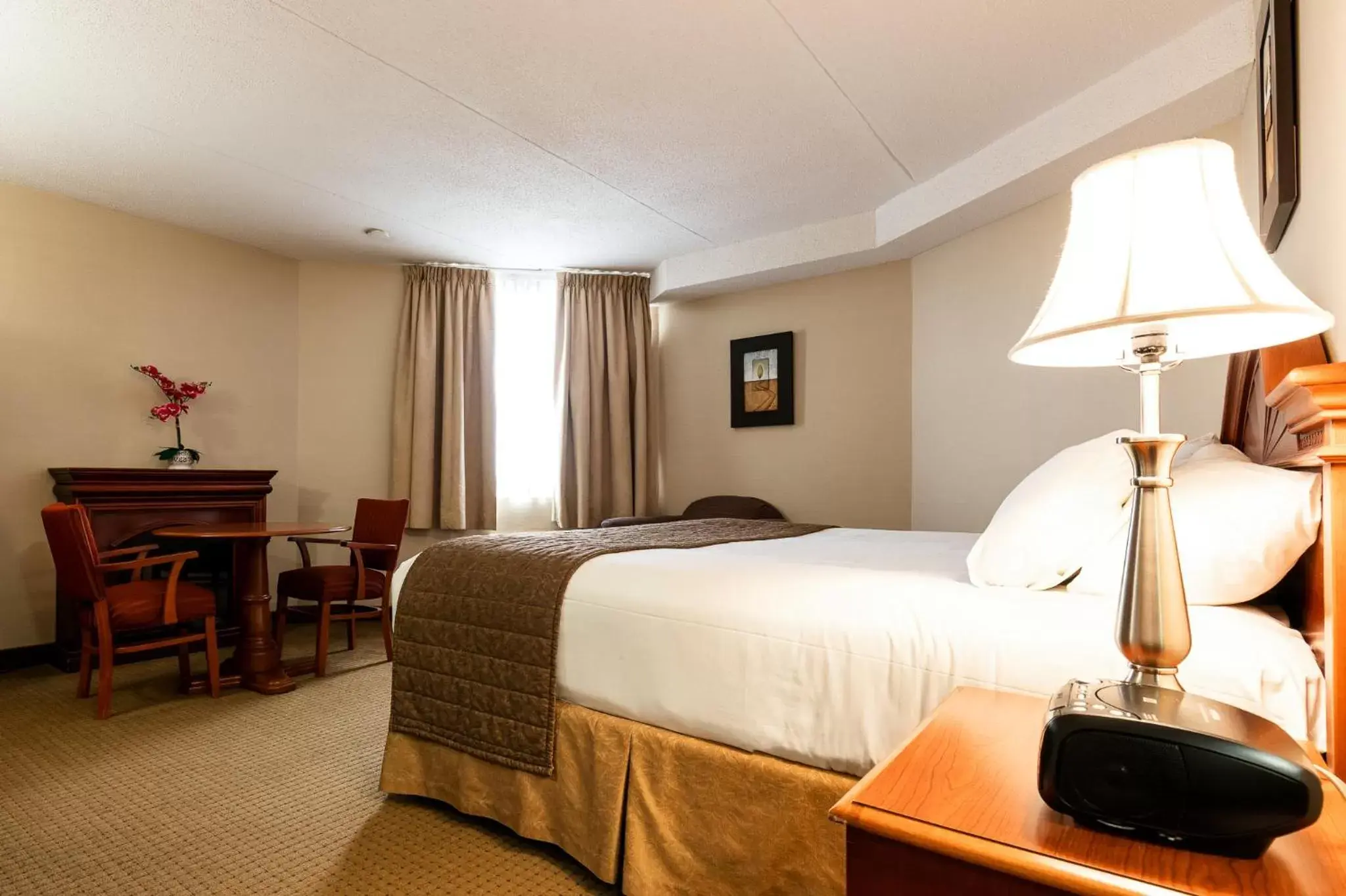 King Room in WelcomINNS Ottawa King Room in WelcomINNS Ottawa