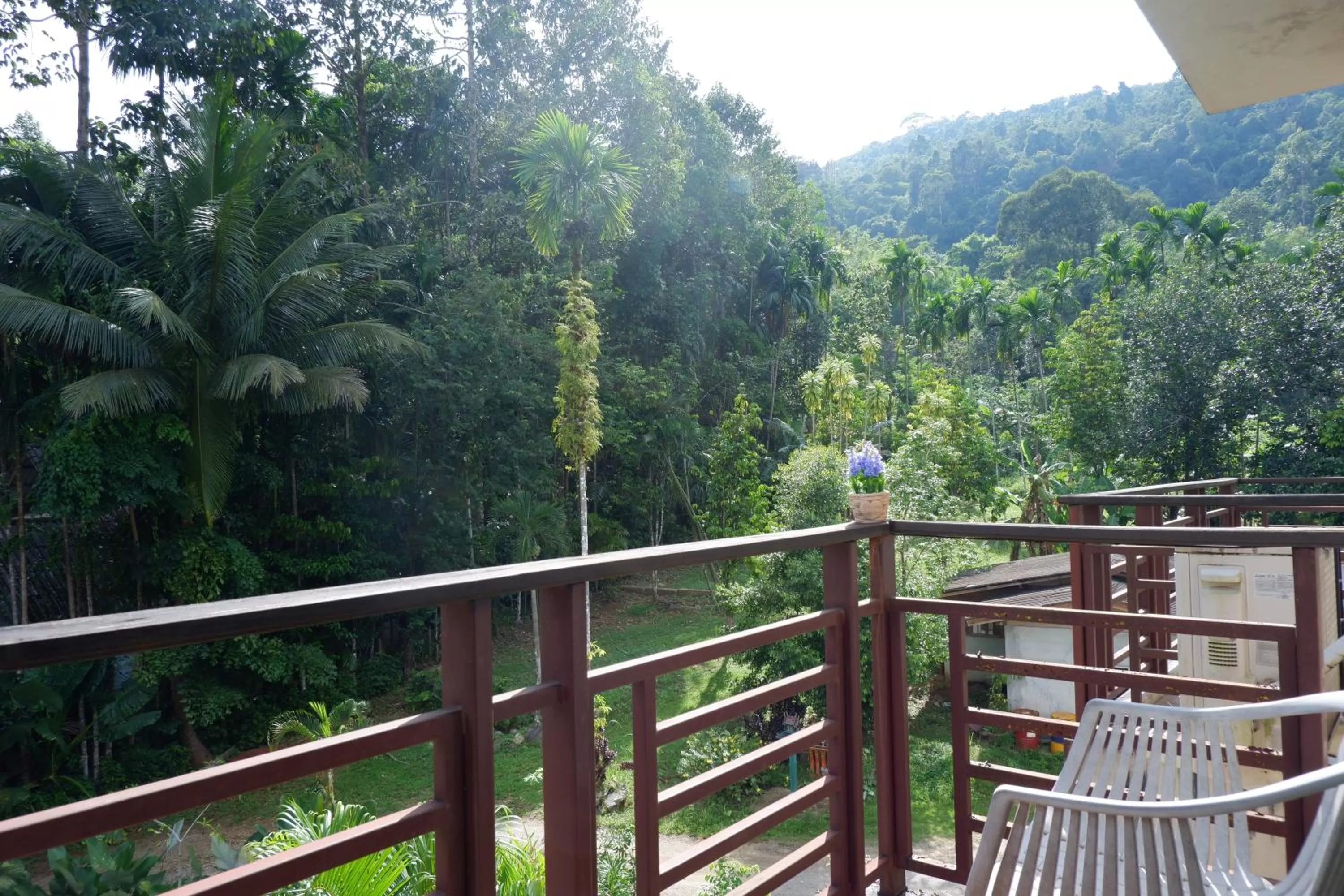 Balcony/Terrace in Khao Sok Nature Place - SHA Certified