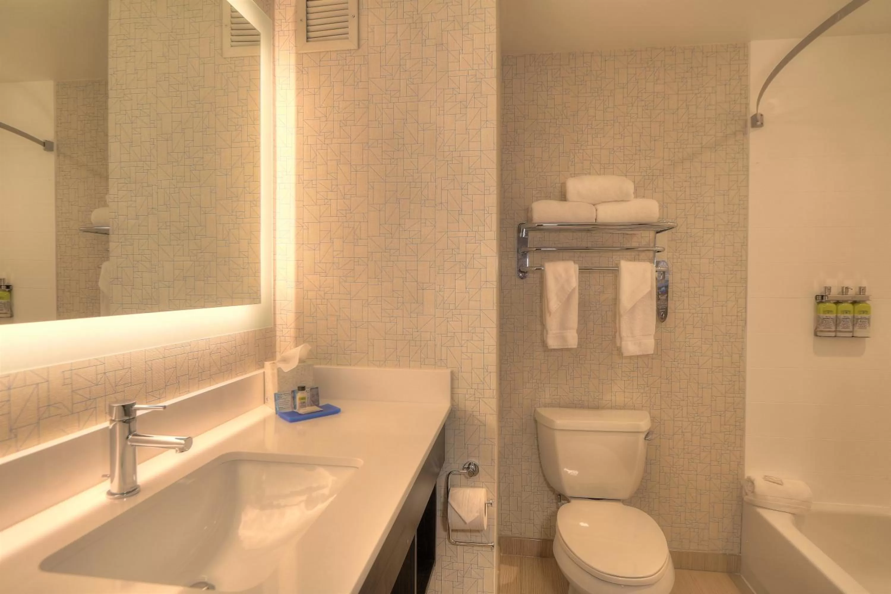 Bathroom in Holiday Inn Express Hotel & Suites Mobile Saraland by IHG