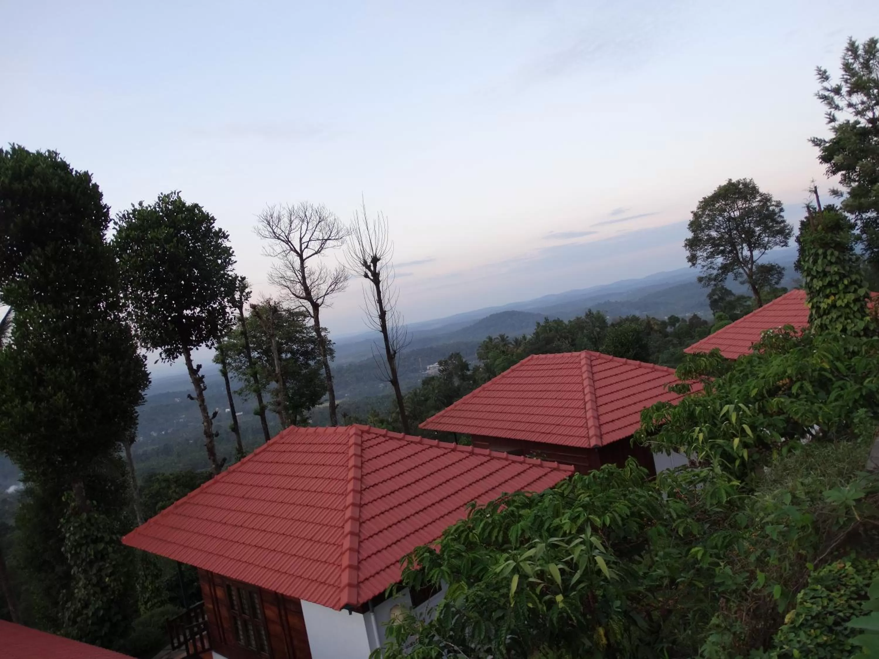 Marmalade Springs Resort Wayanad