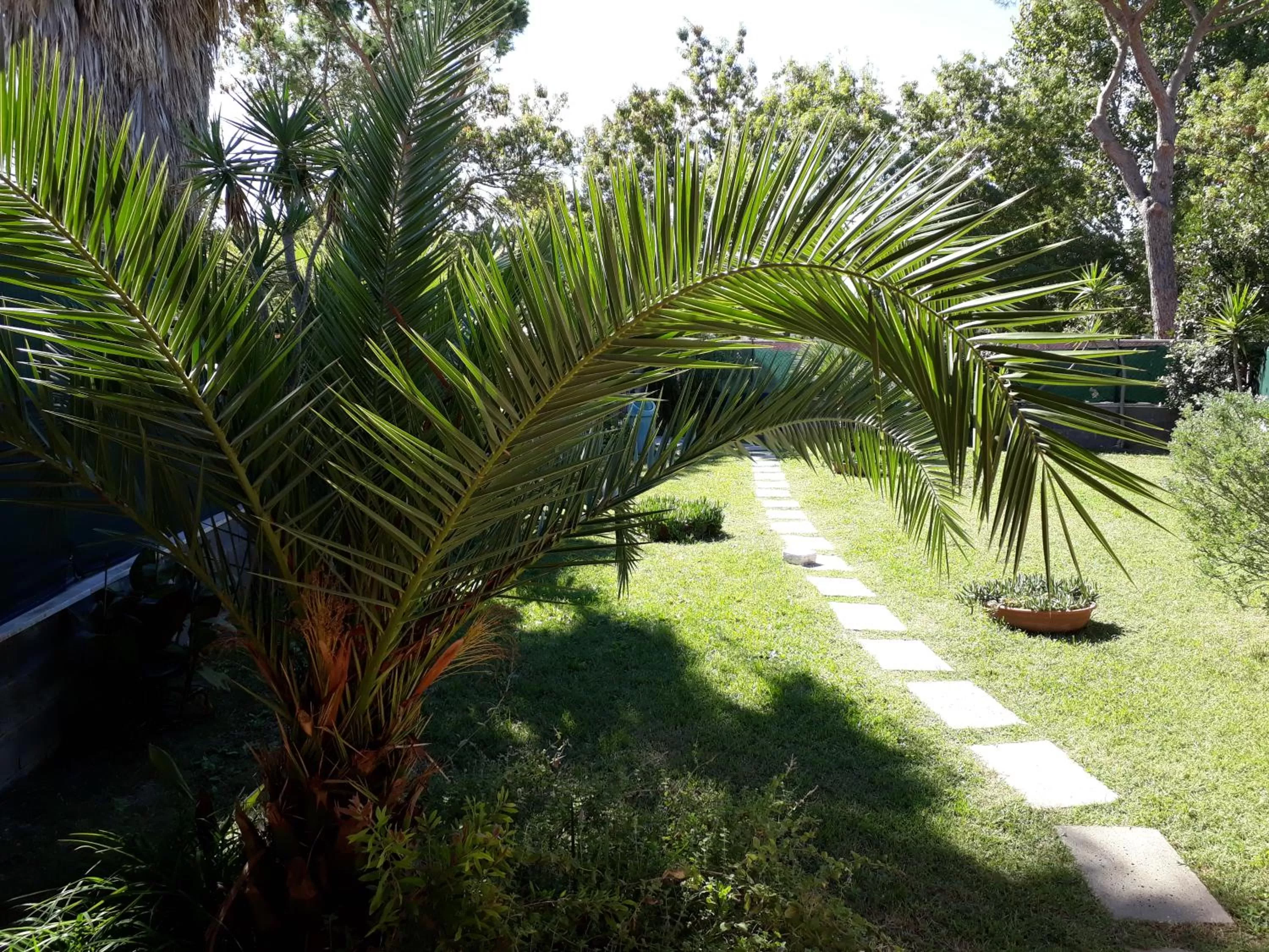 Property building in A57