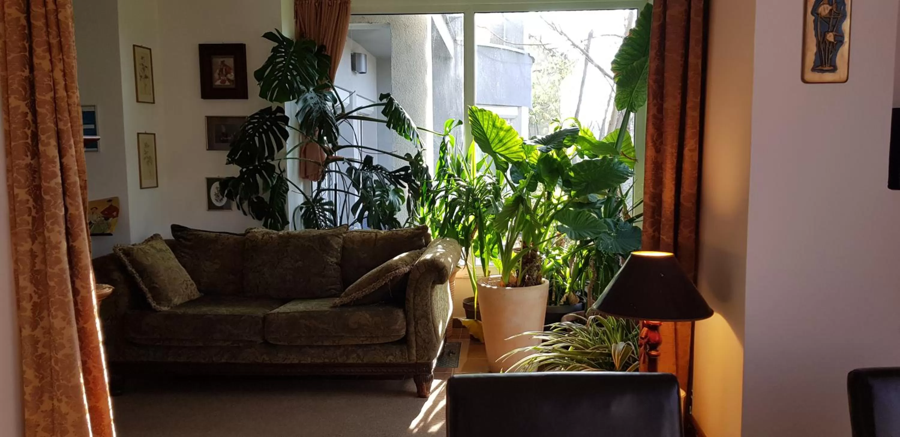 Breakfast, Seating Area in Pansion Vila Vanda