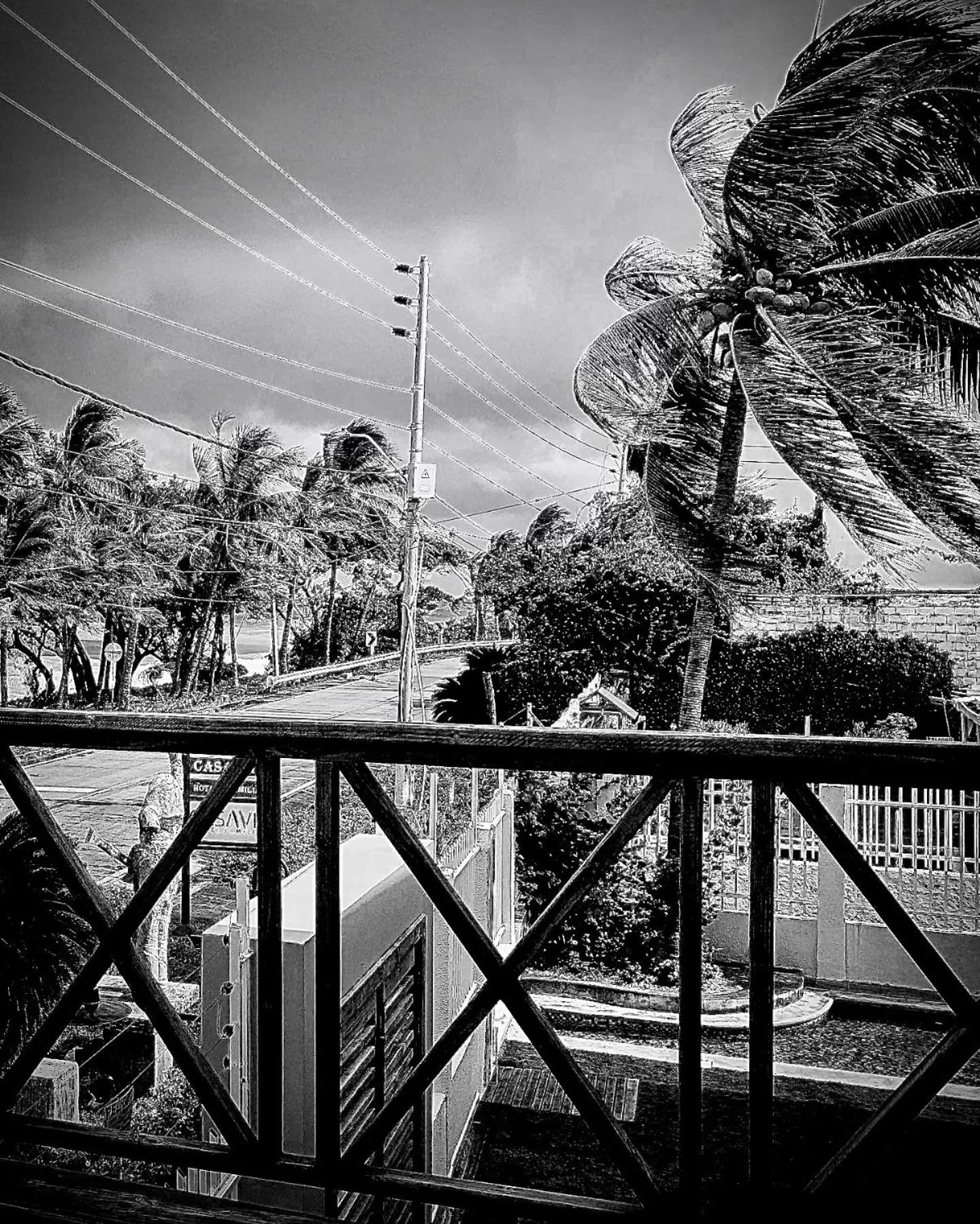 Day in In Di House of Reggae Boutique