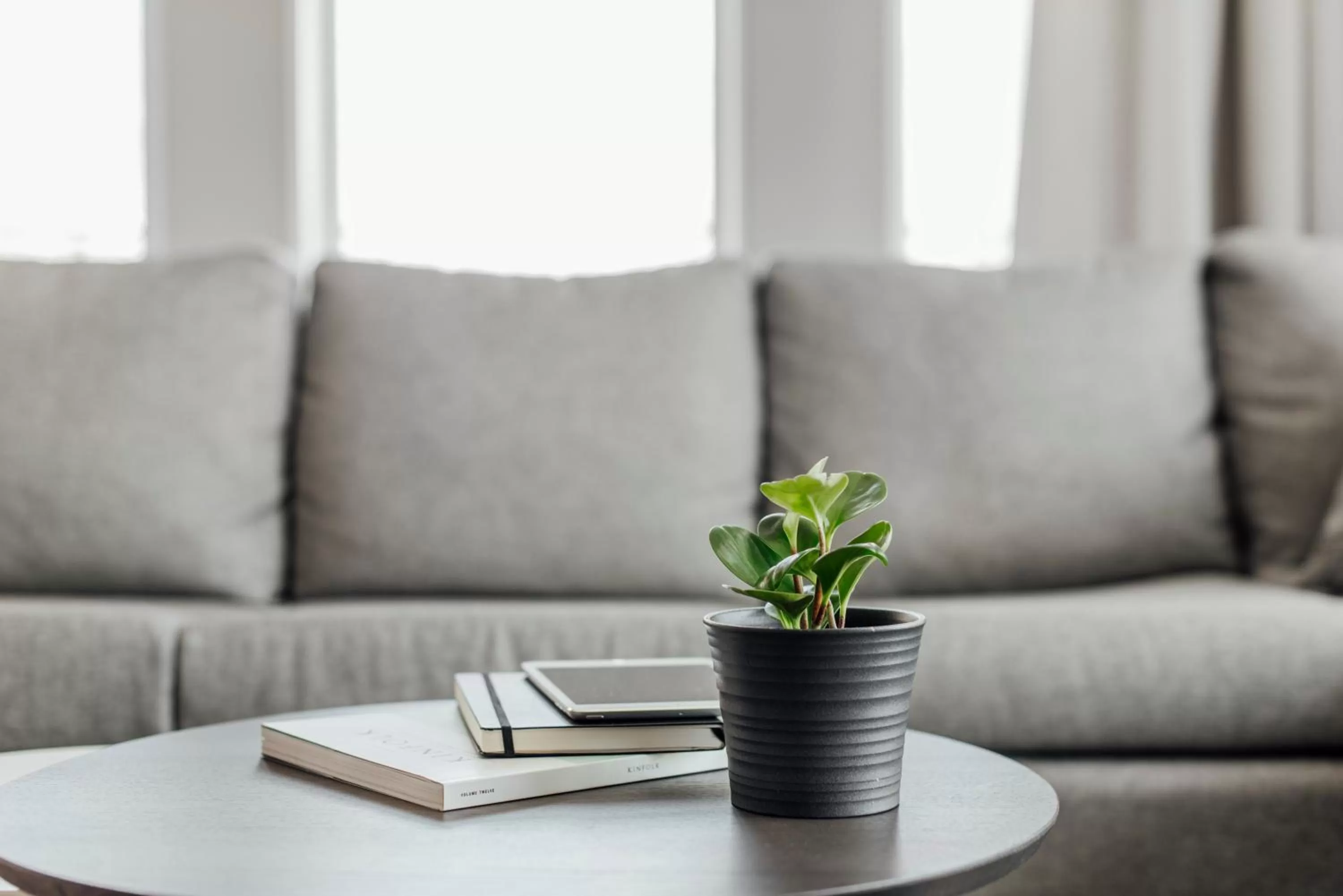 Living room in Entourage sur-le-Lac