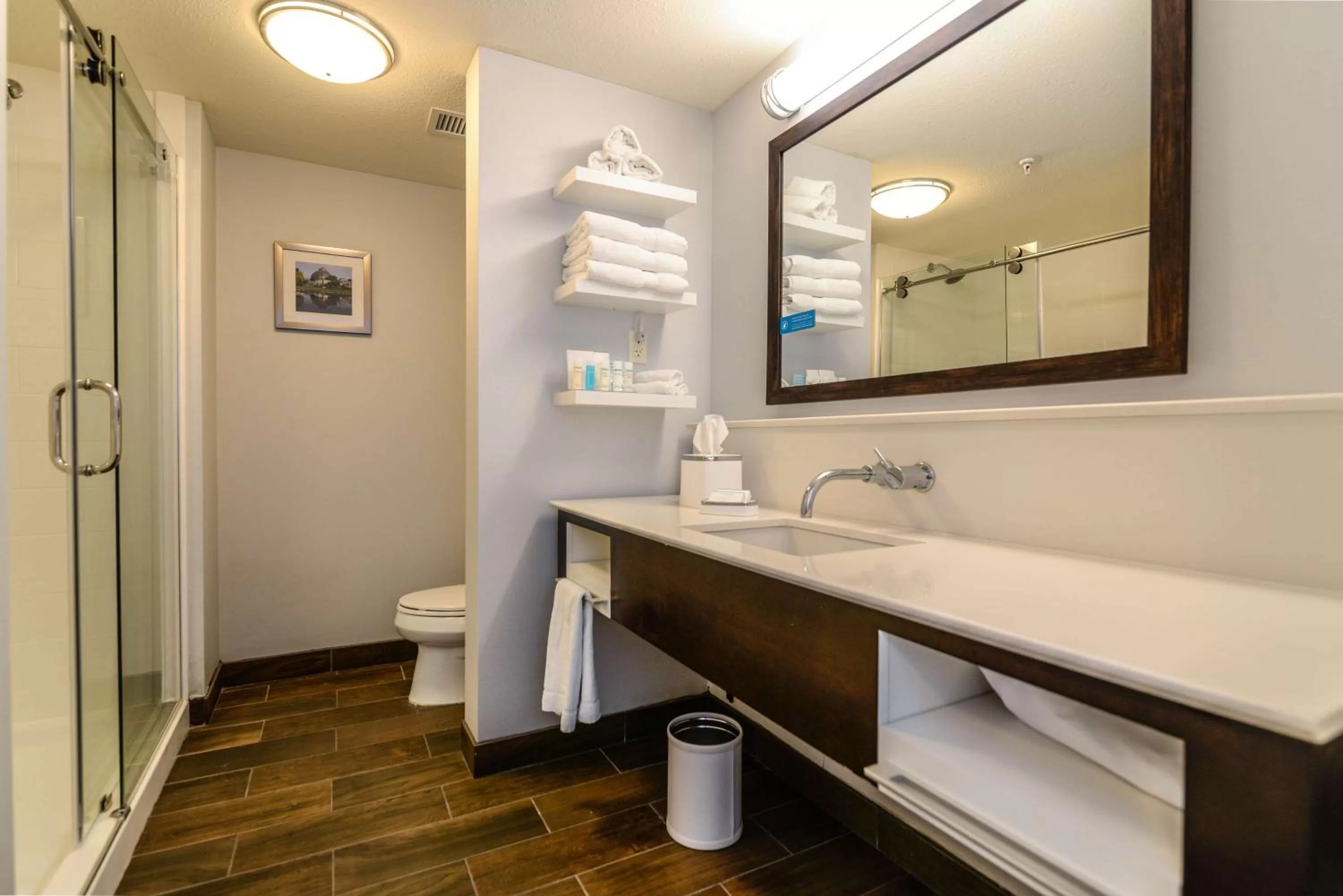 Bathroom in Hampton Inn Brighton Mi