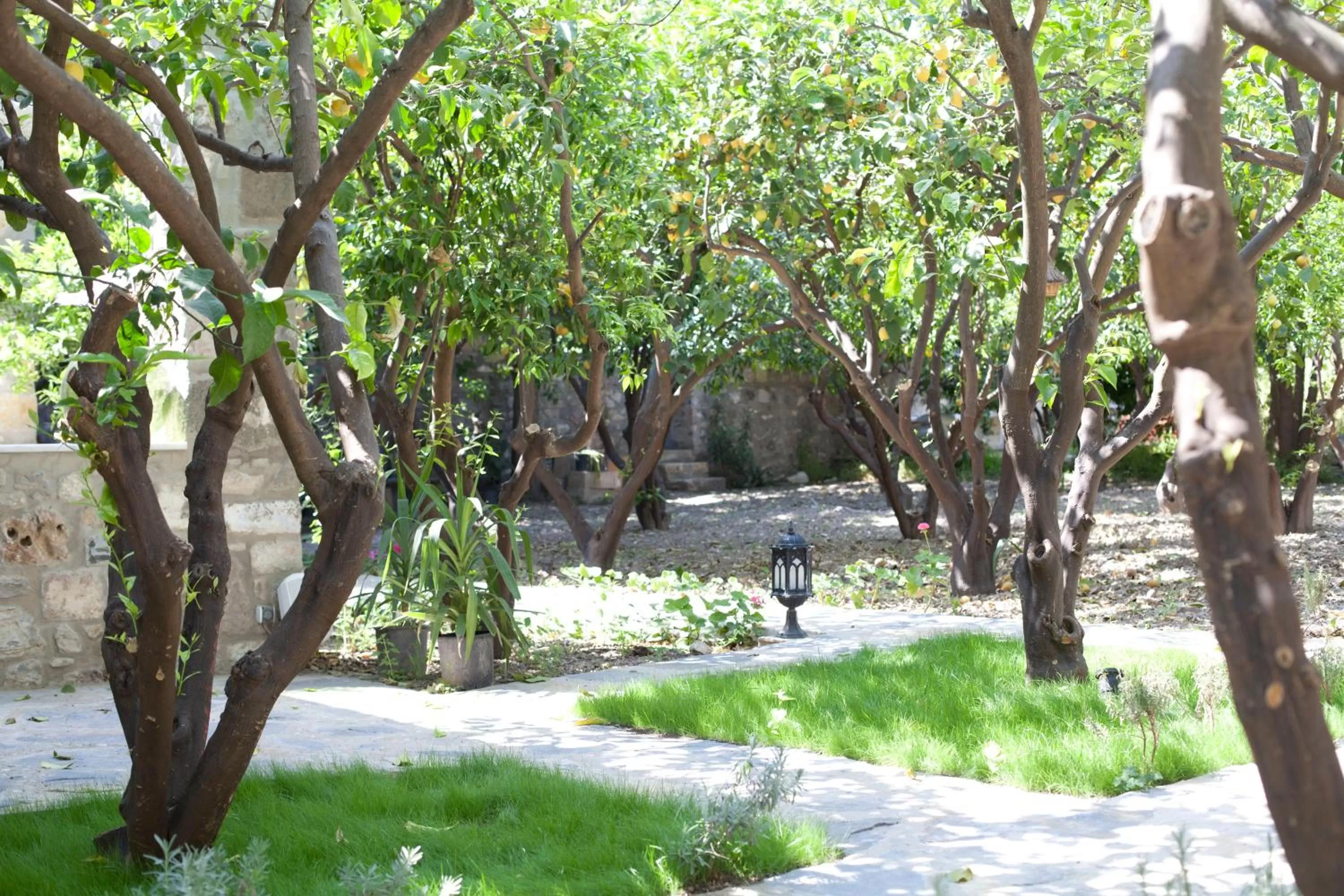 Garden in Ha La Bodrum