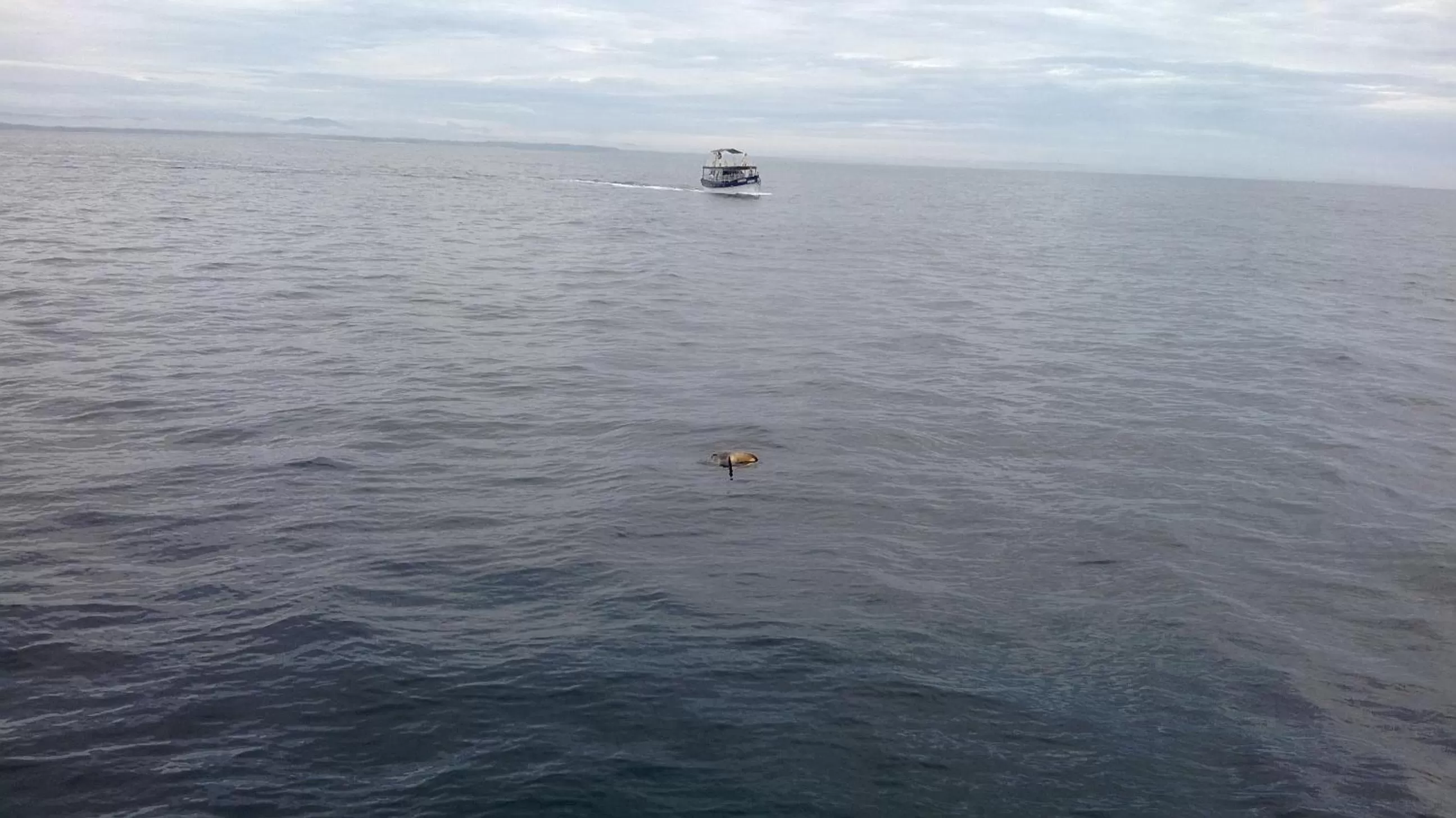 Sea view, Natural Landscape in Jumera Villa Mirissa