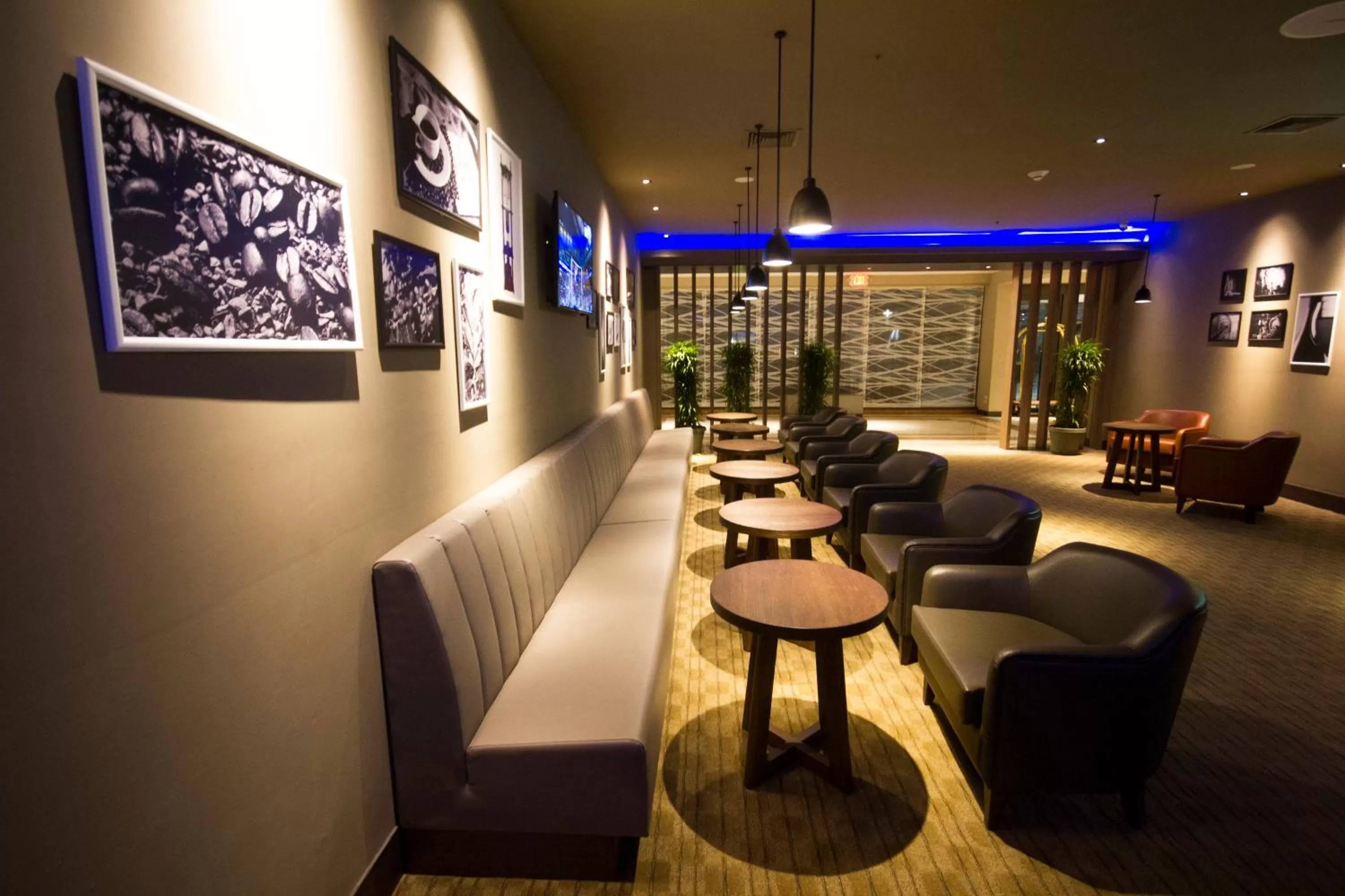 Lounge or bar in Crowne Plaza Managua by IHG