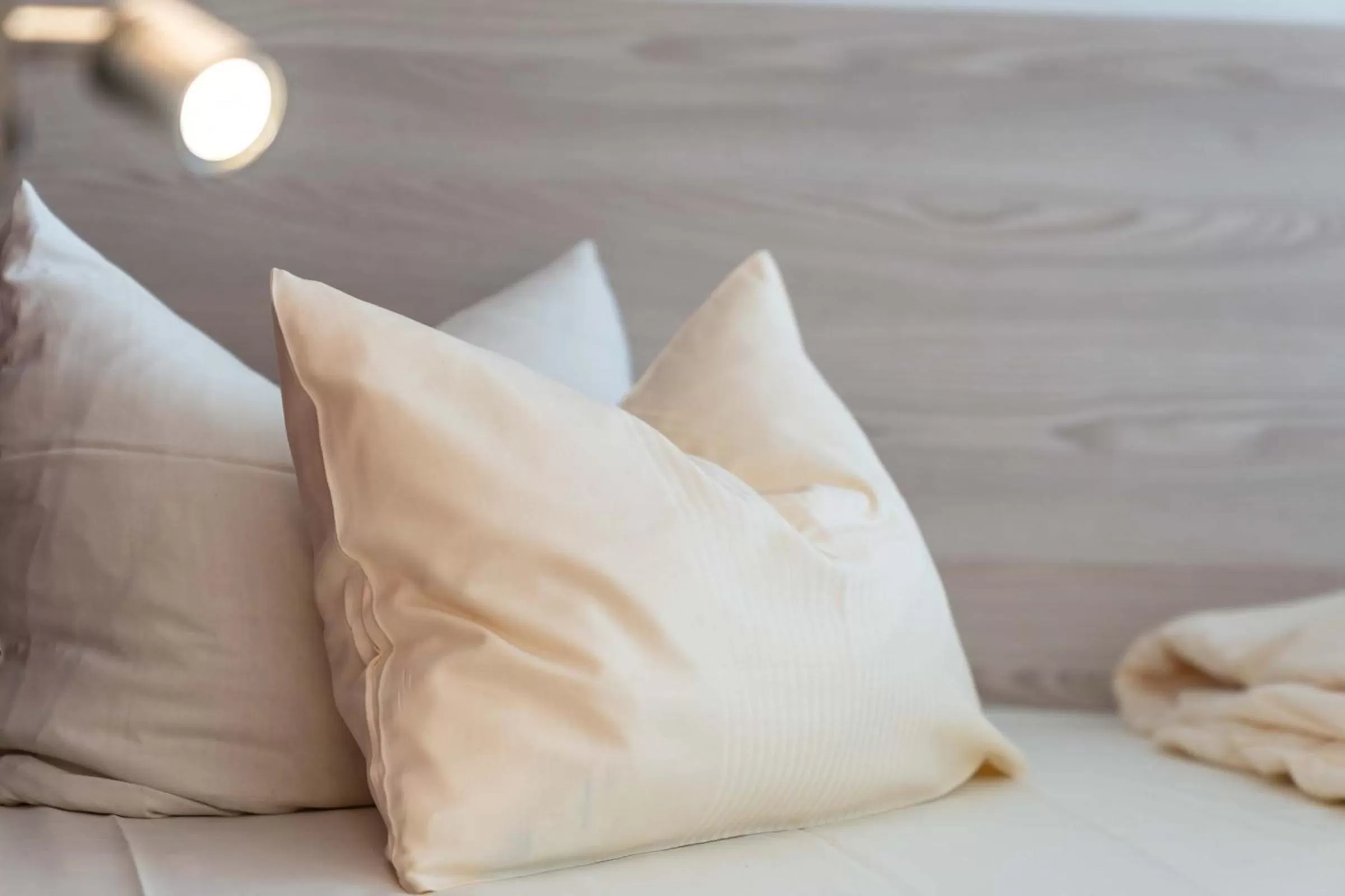 Decorative detail, Bed in Frommanns Landhotel