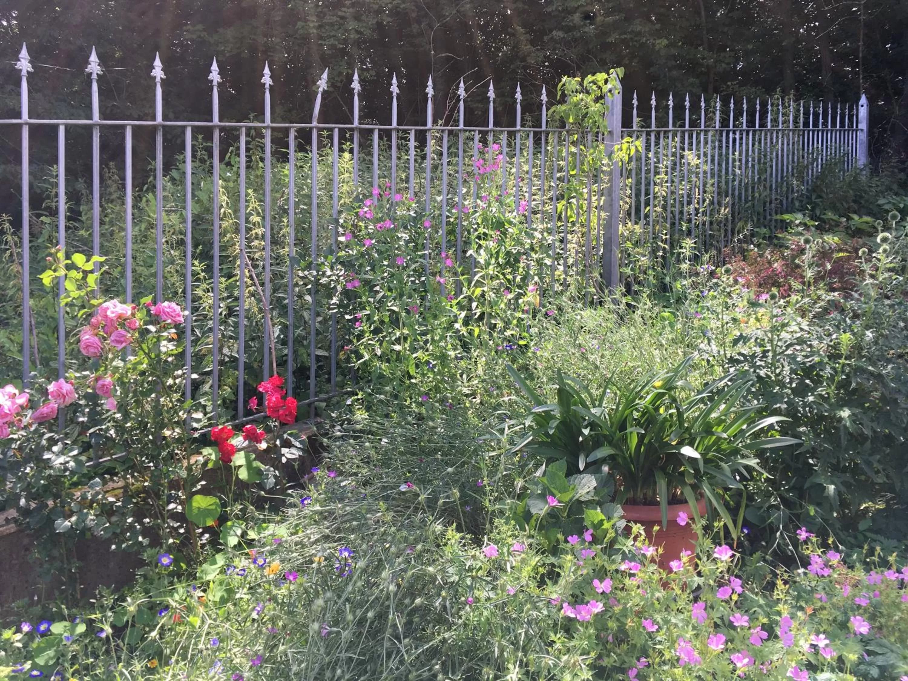 Garden view in Nickhof B&B Resort