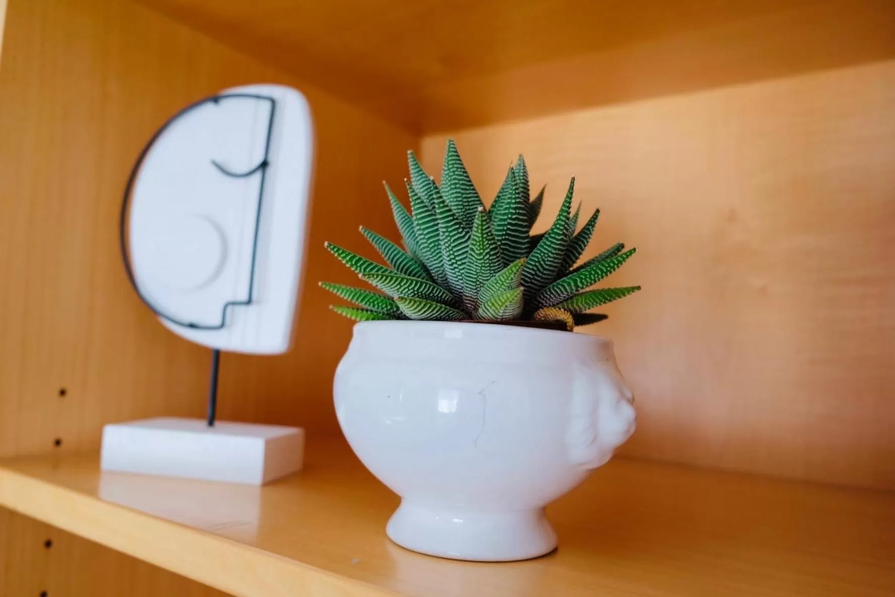 Decorative detail in Hacienda Rooms