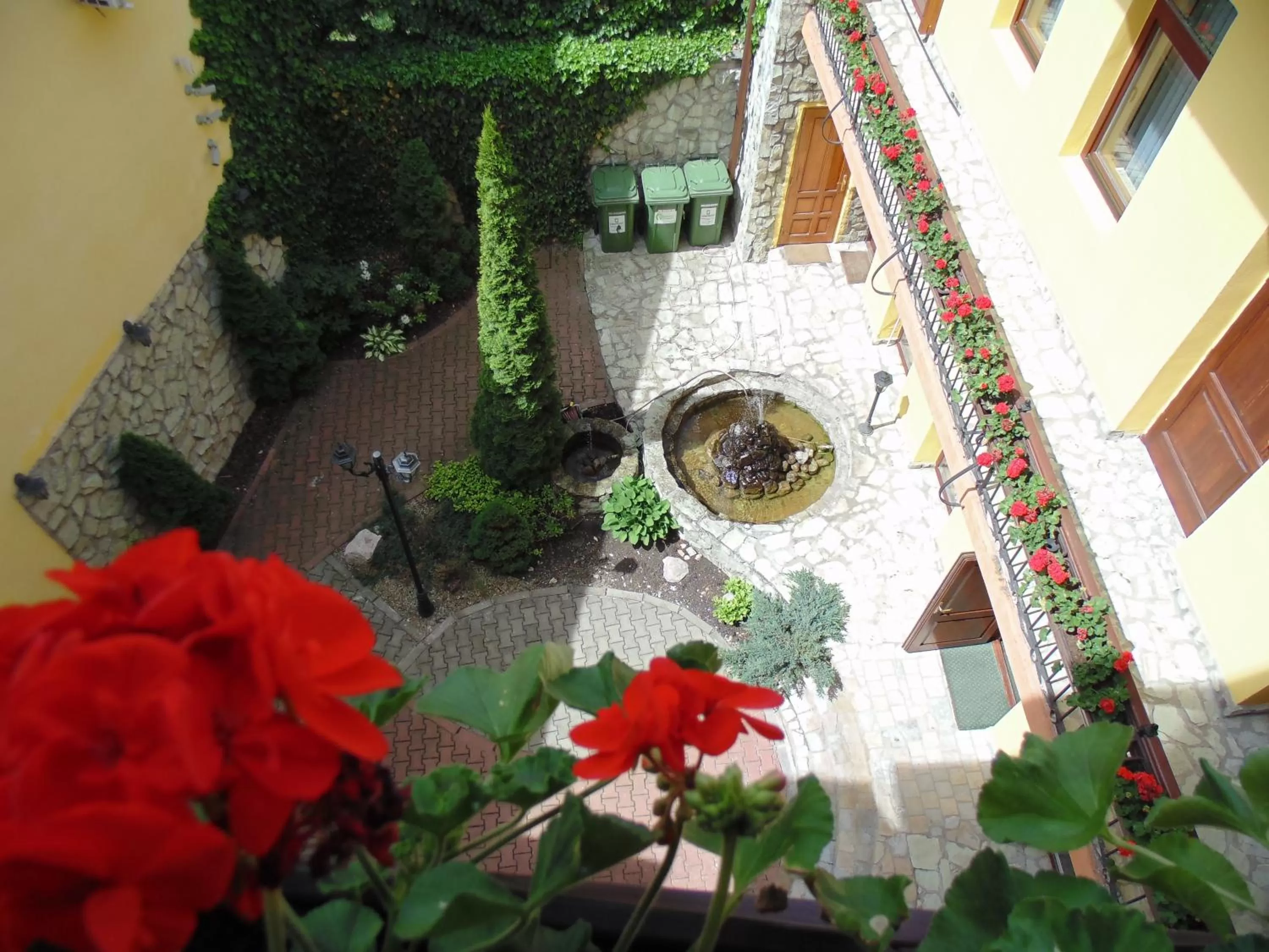 Bird's eye view in Curtea Brasoveana