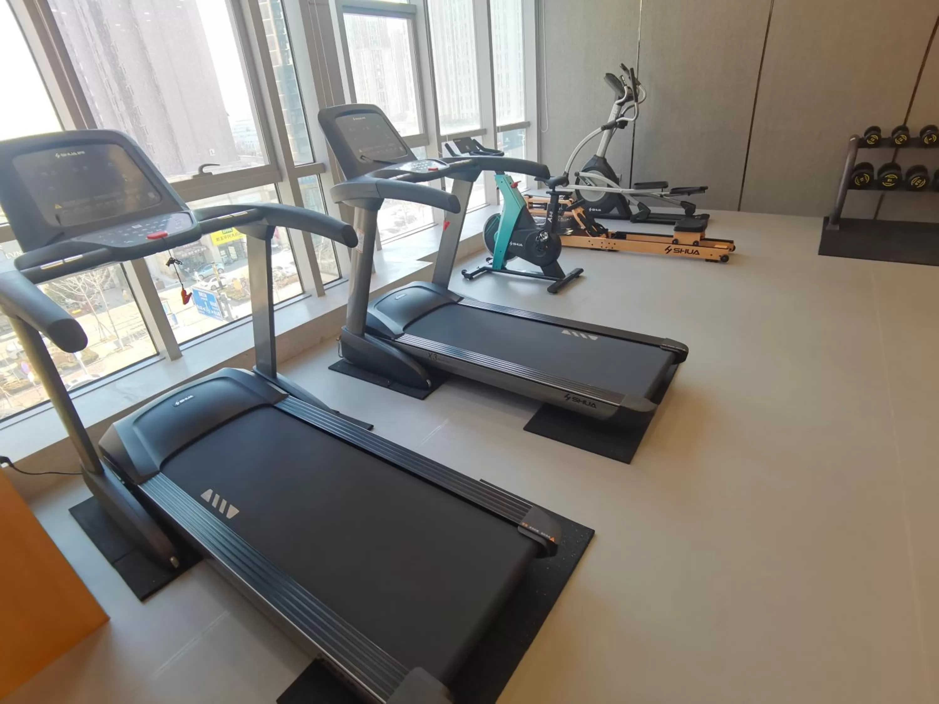 Fitness centre/facilities in Holiday Inn Express - Yantai YEDA by IHG