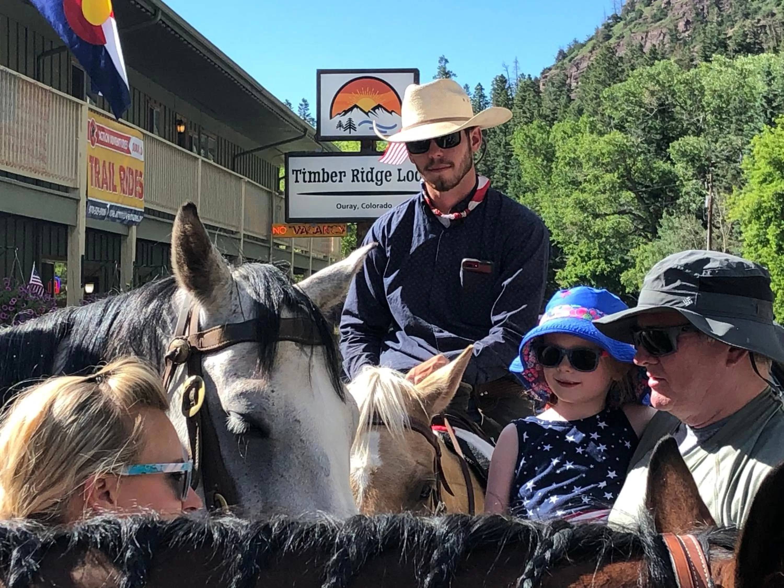 Timber Ridge Lodge Ouray
