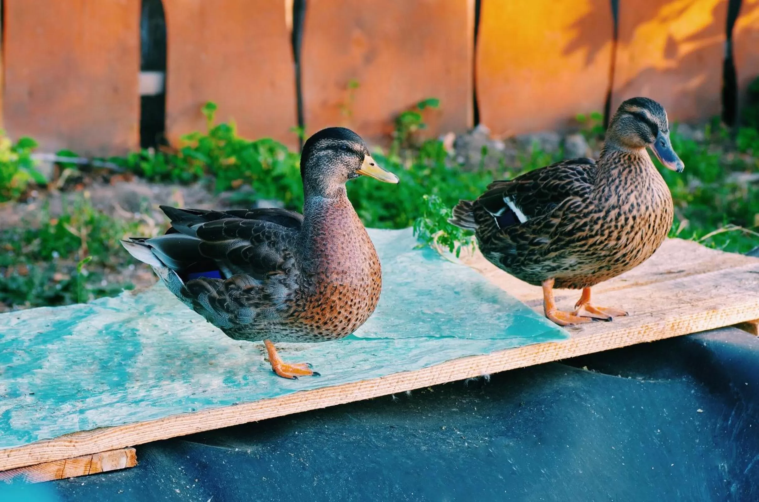 Hotel and Entertaiment Complex Vlada