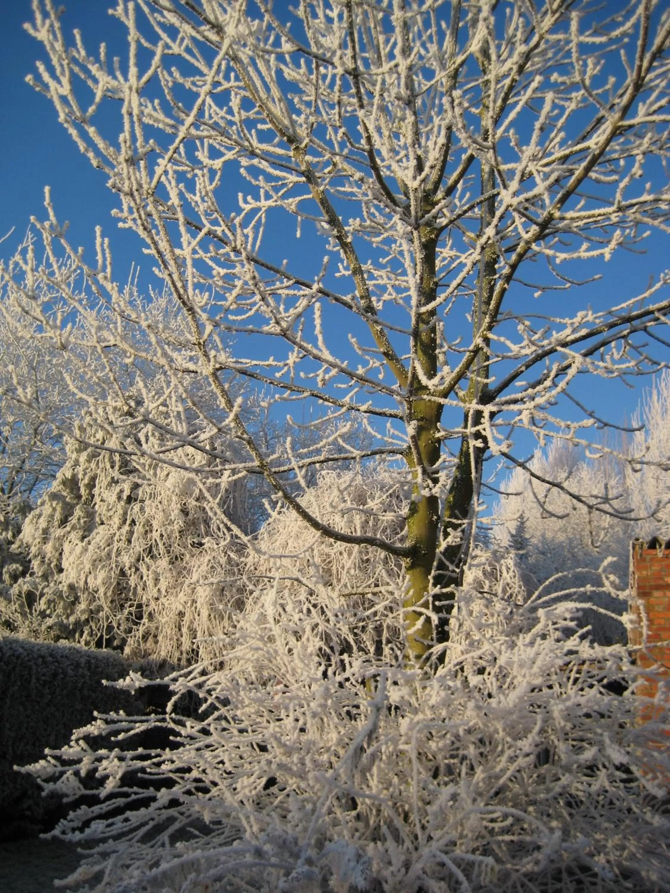 Other, Winter in B&B Het Uilennest