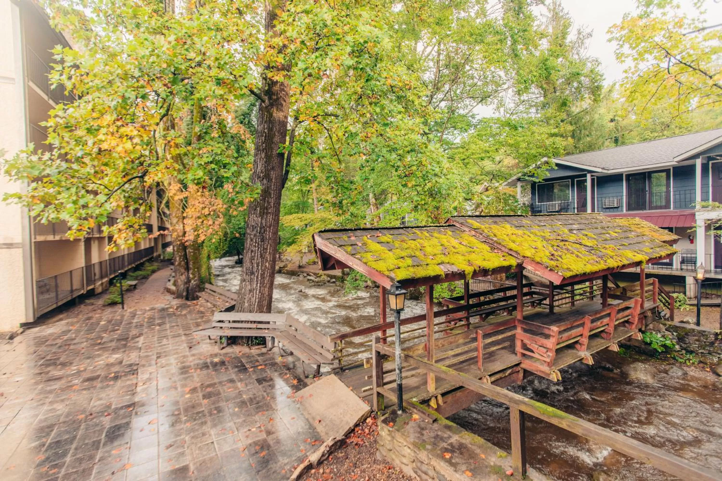 River view in Brookside Lodge