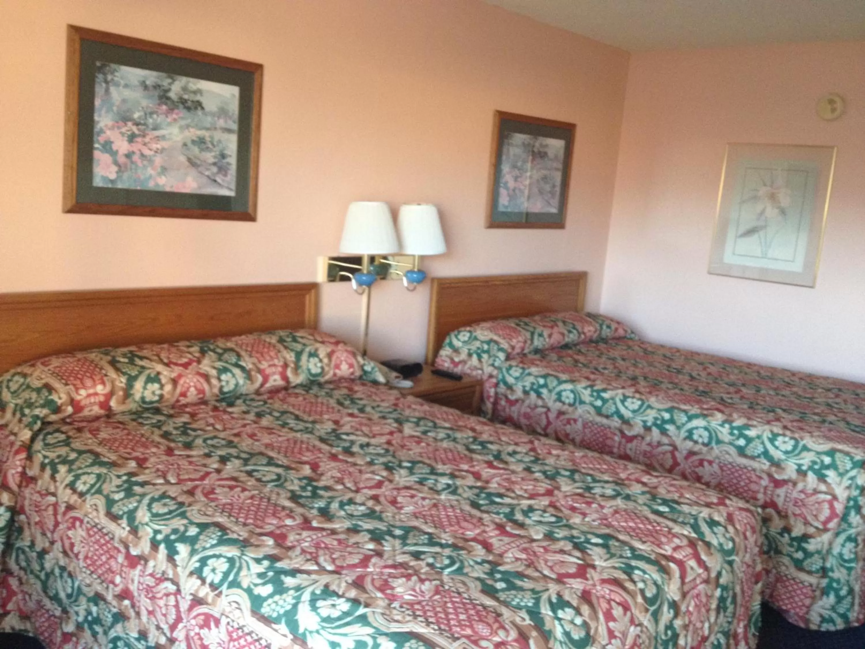 Bed in Budget Inn Express Bristol