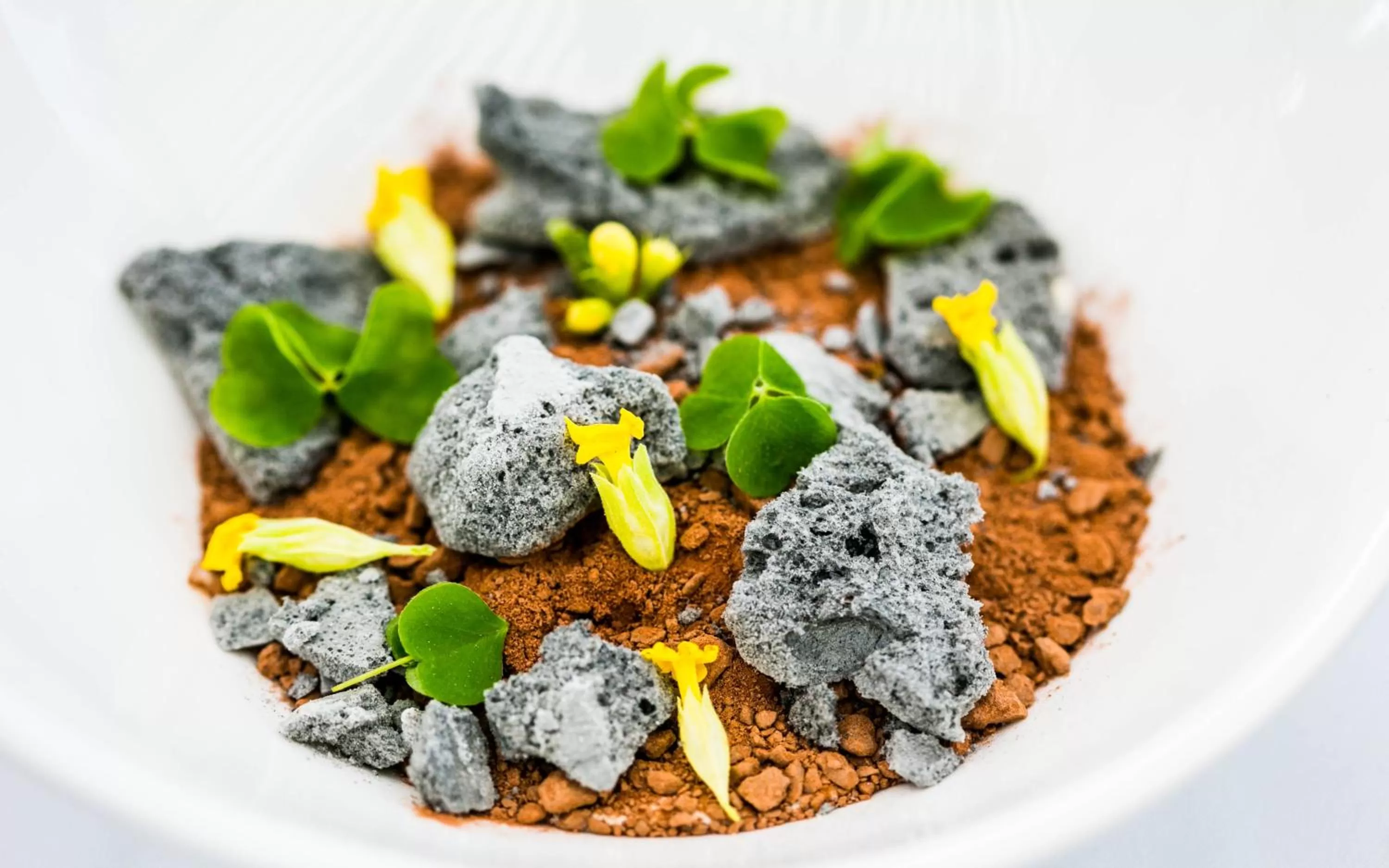 Restaurant/places to eat in GMP Clubhotel Apartments