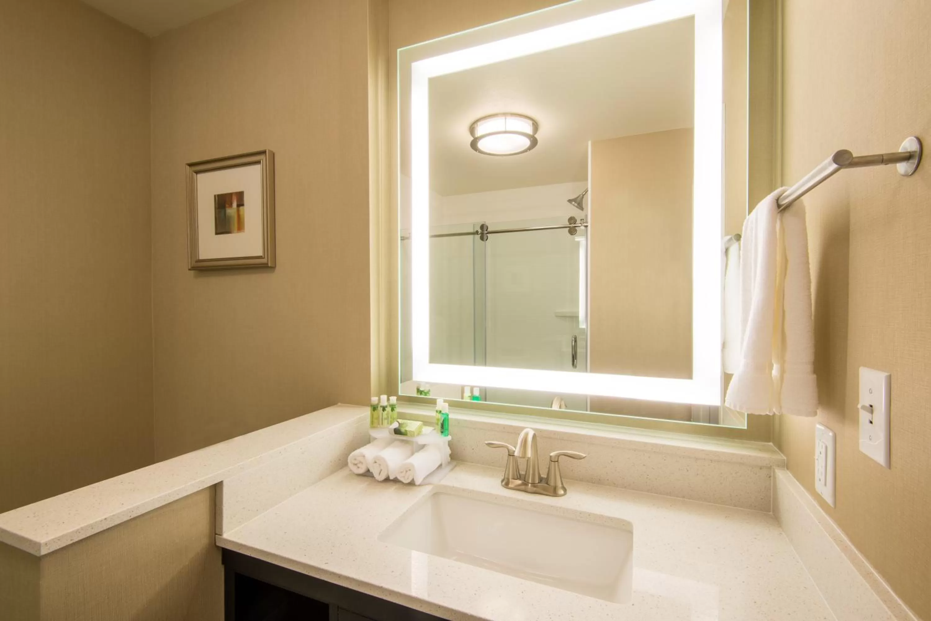 Bathroom in Holiday Inn Express & Suites Denver South - Castle Rock by IHG