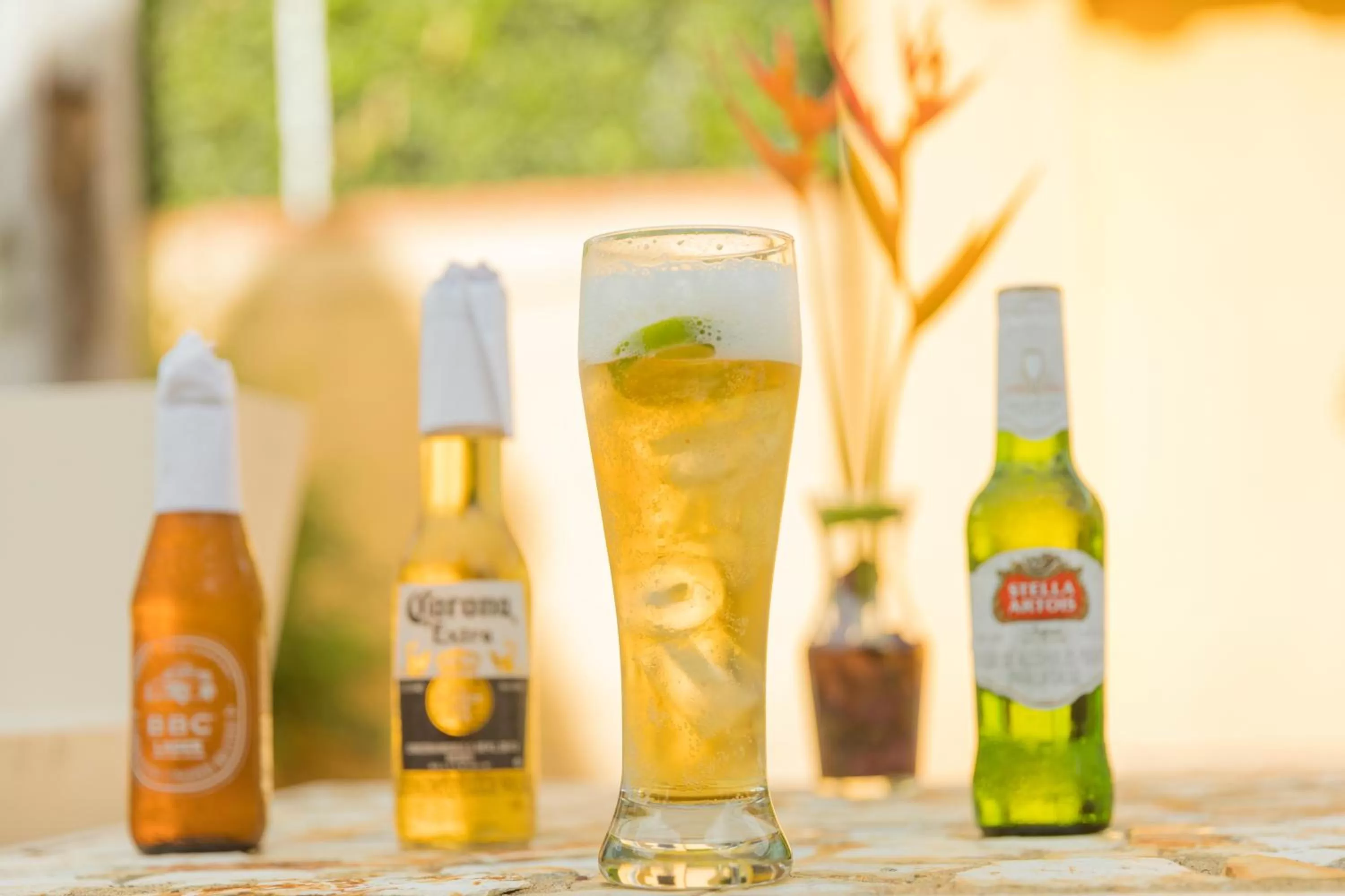 Property building, Drinks in Hotel Portón del Sol