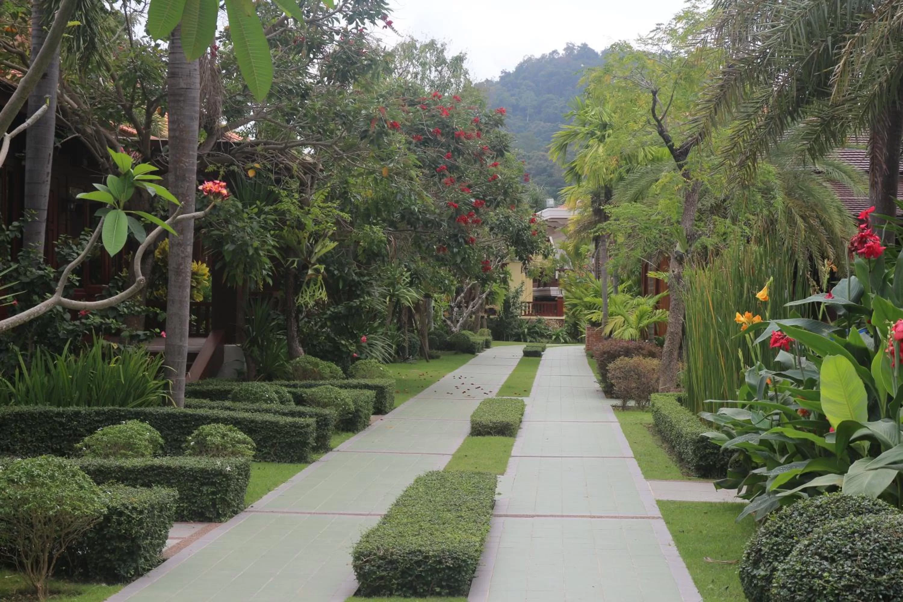 Garden in Try Palace Resort-Kep