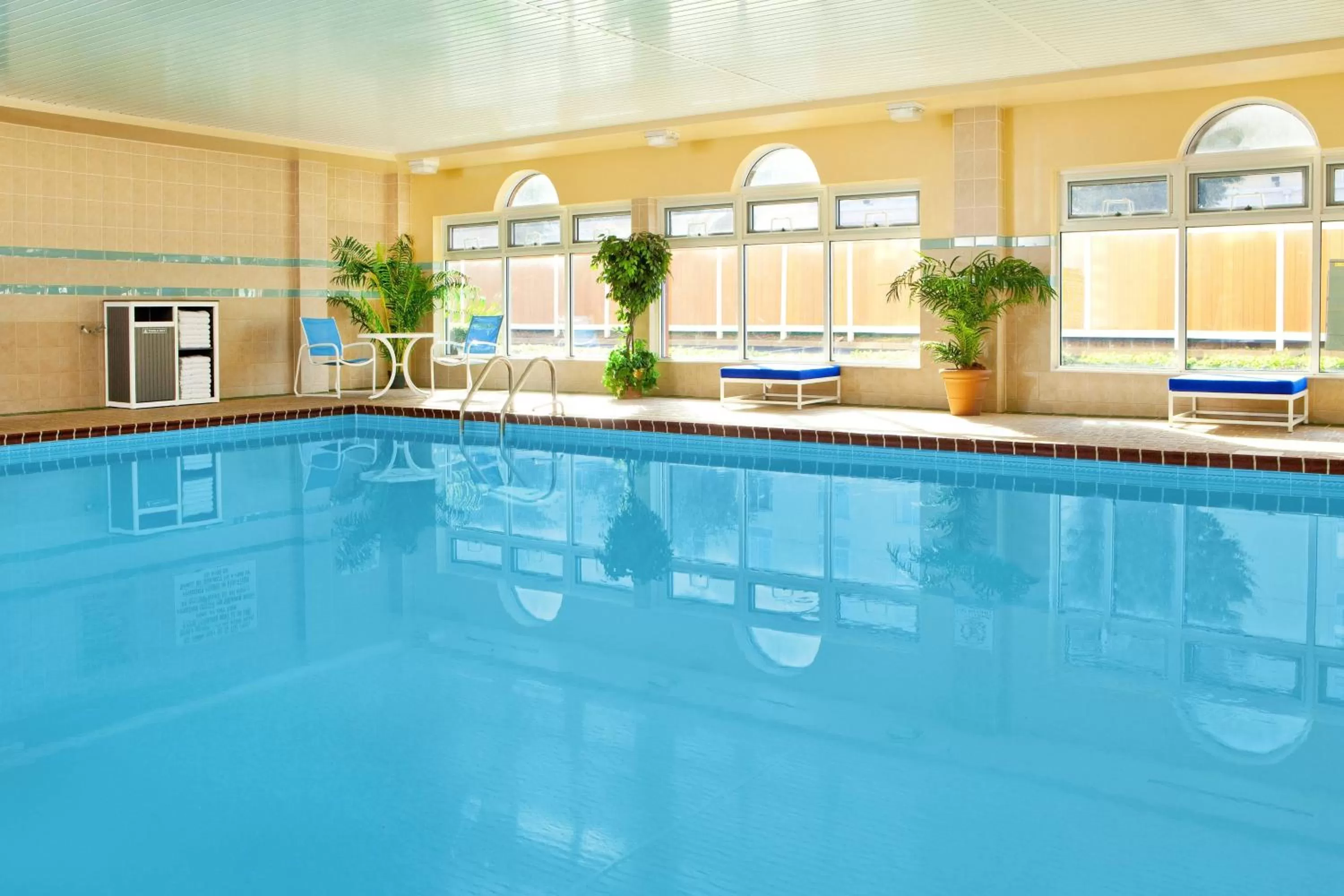 Swimming pool in Four Points by Sheraton Louisville Airport