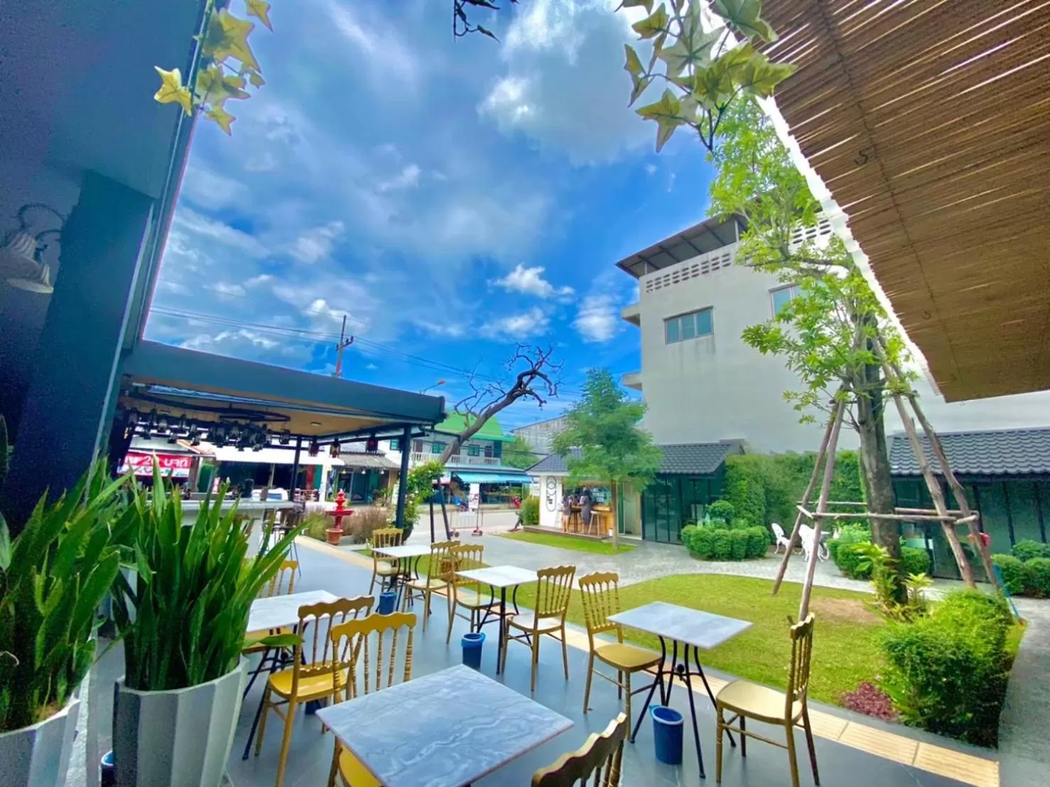 Garden in The Bridge Residence Hotel