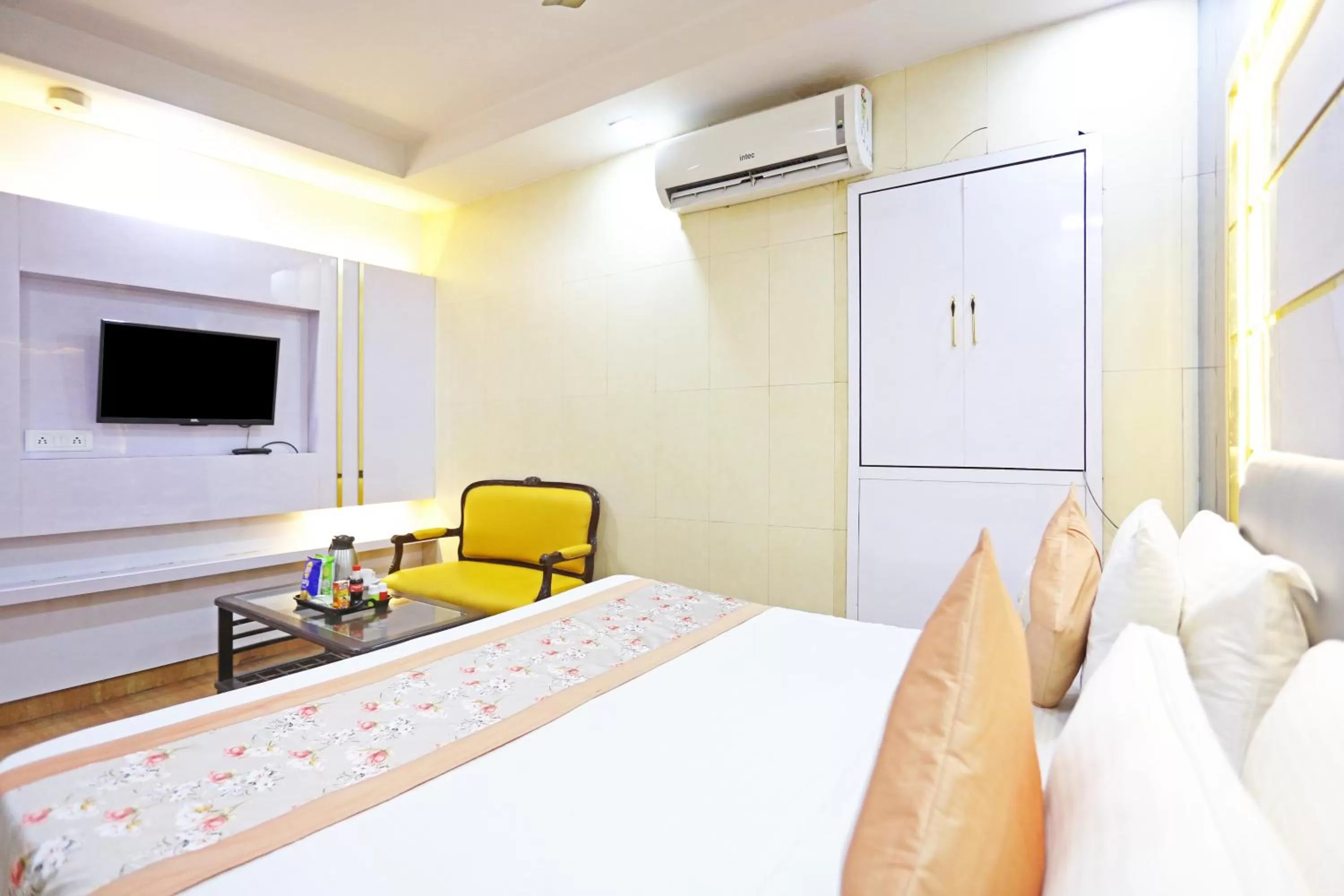 TV and multimedia in Hotel Preet Palace -5 Mints Walk From Nizamuddin Railway Station