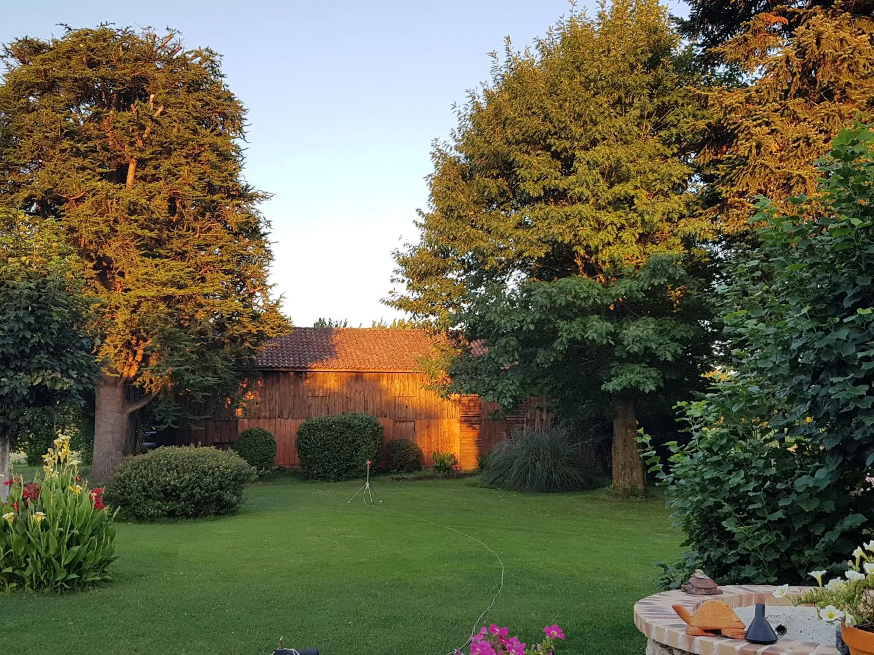 Garden in Chambres d'Hotes Carpediem