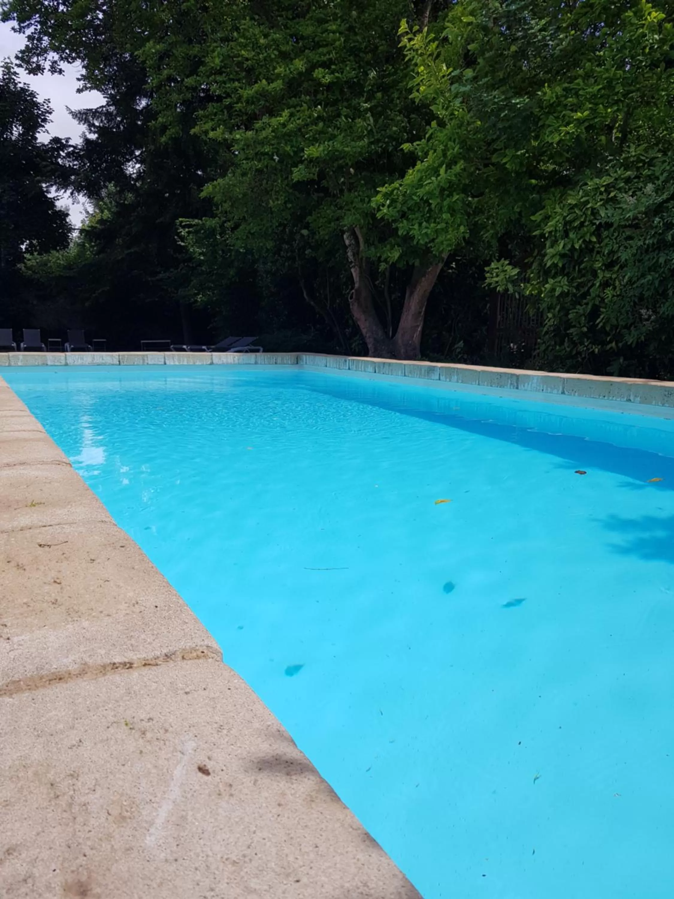Swimming pool in Le Clos d'Amboise