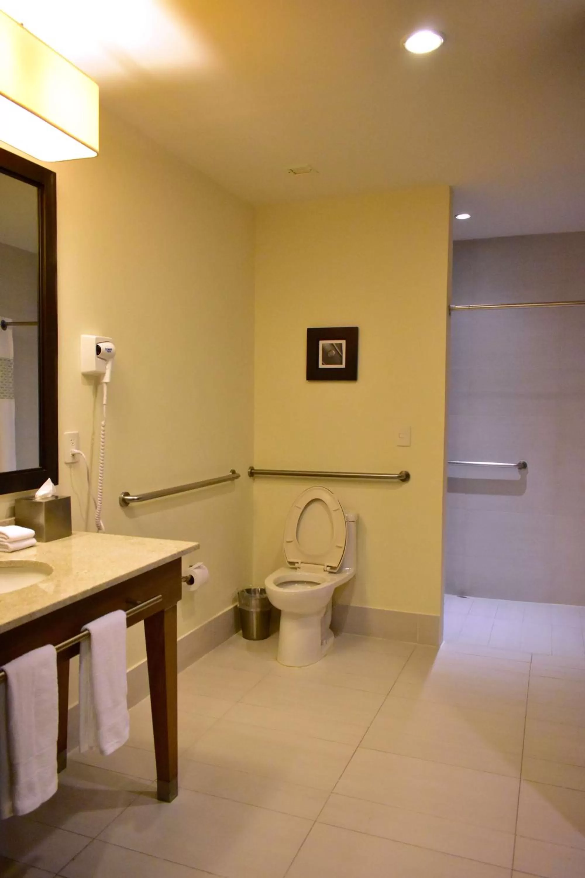 Bathroom in Hampton Inn by Hilton Ciudad del Carmen
