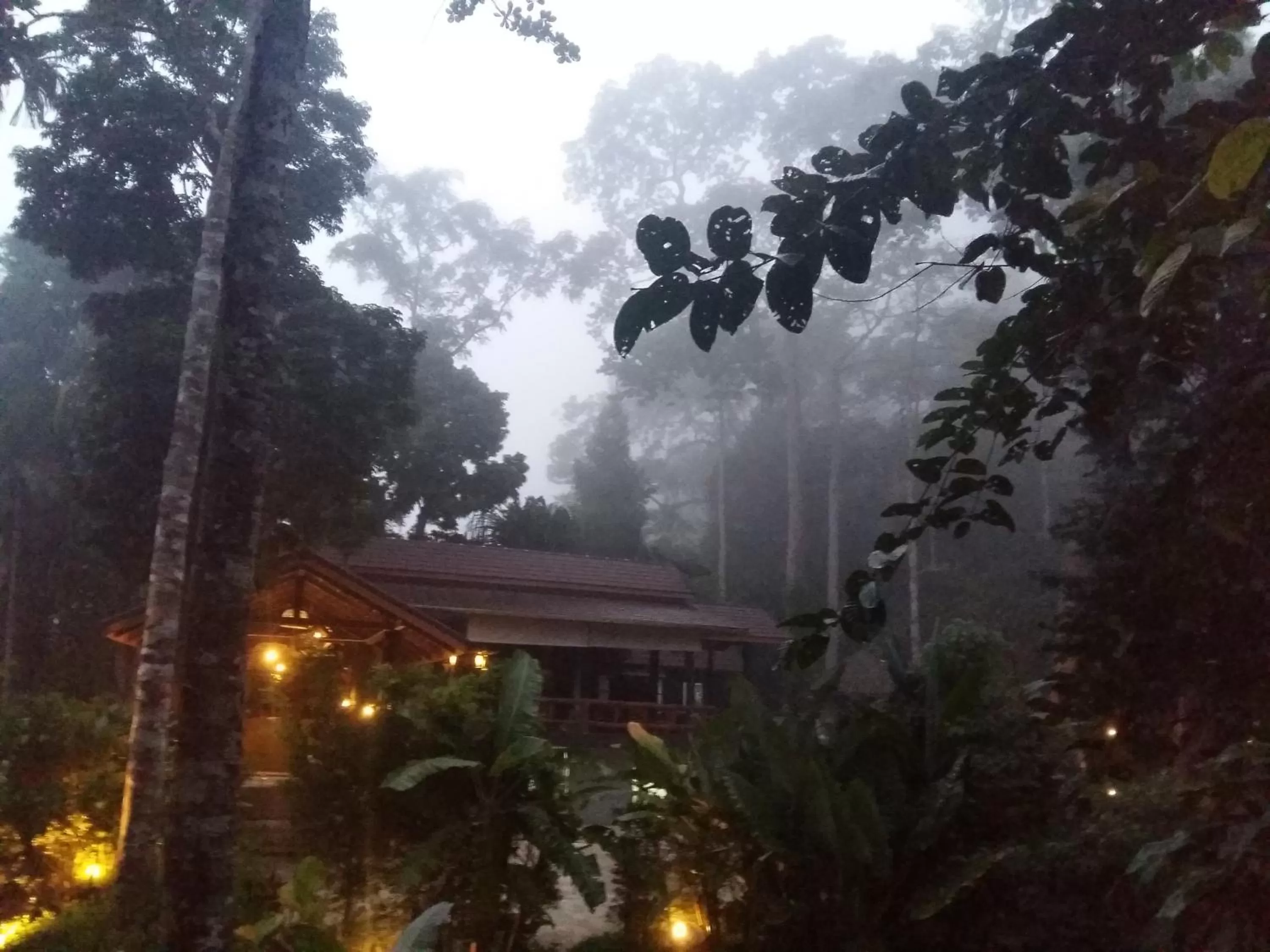 Other in Rock and Tree House Resort