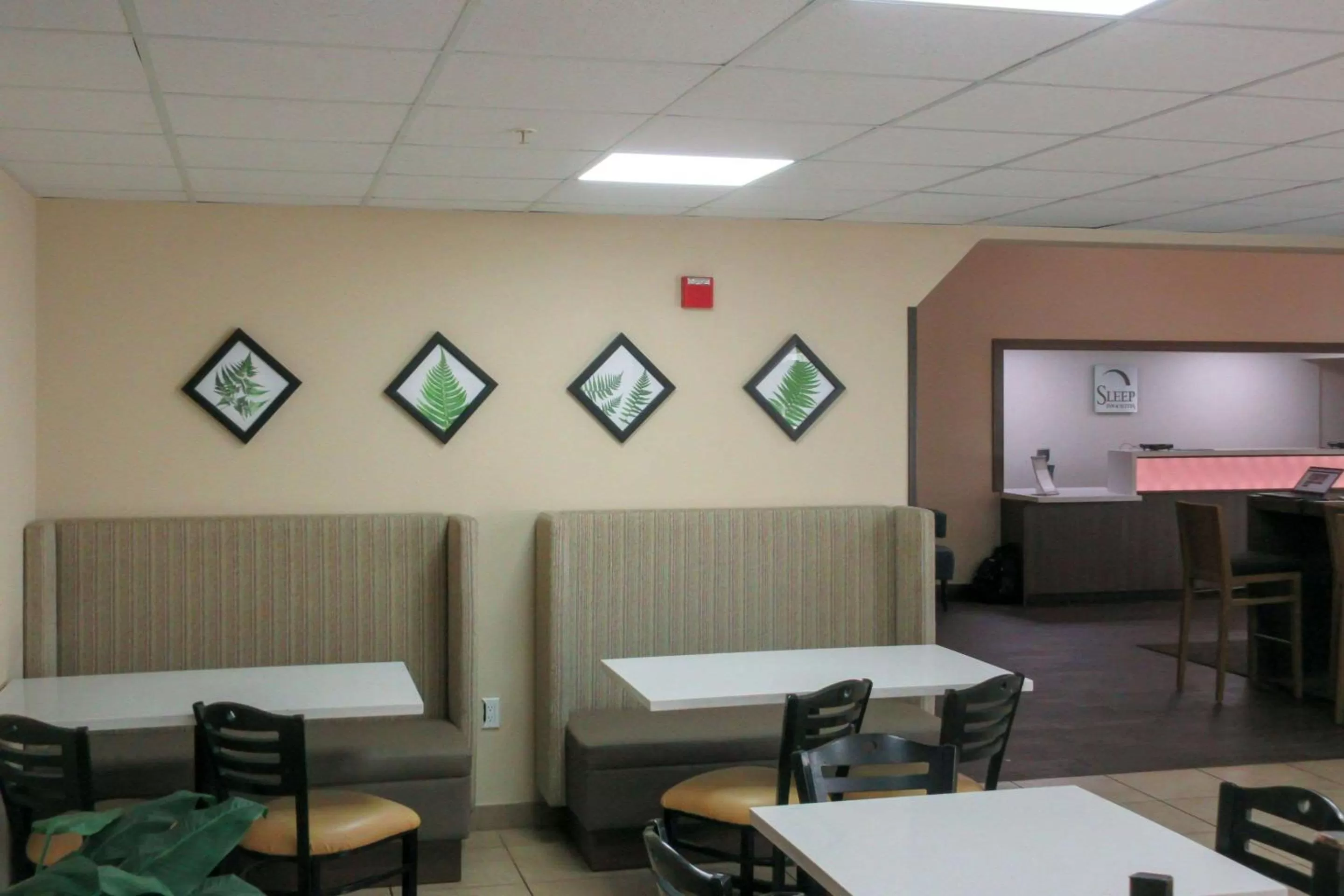 Restaurant/places to eat in Sleep Inn & Suites Ft Lauderdale International Airport