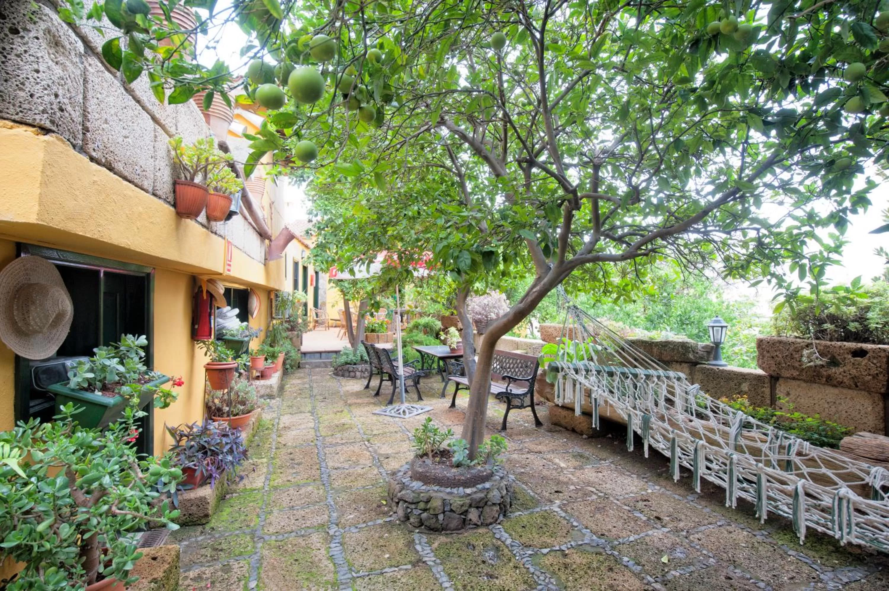 Garden in Hotel Rural Senderos de Abona
