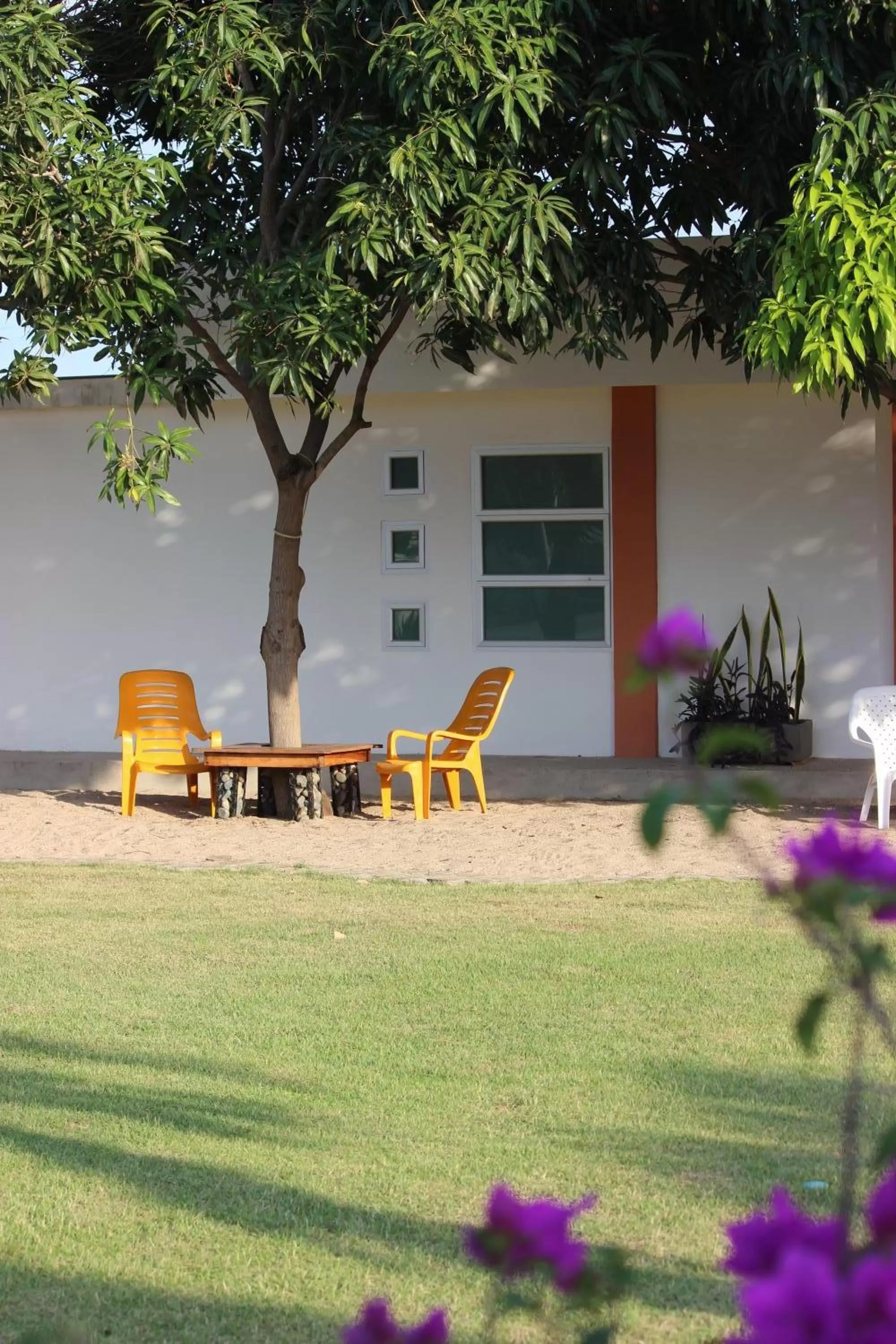 Natural landscape in Hotel Emerawaa