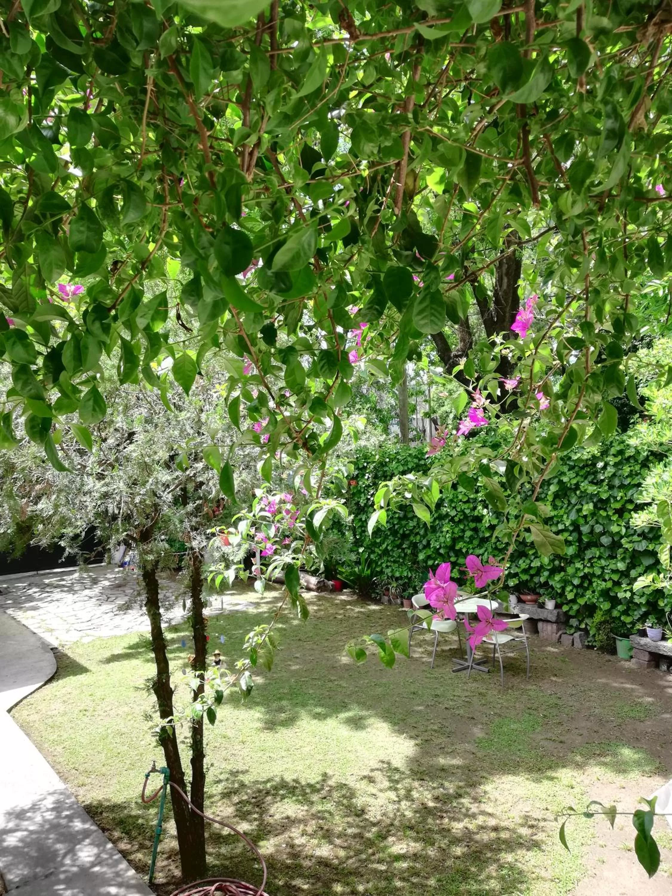 Casablanca Boutique Hotel Adrogué