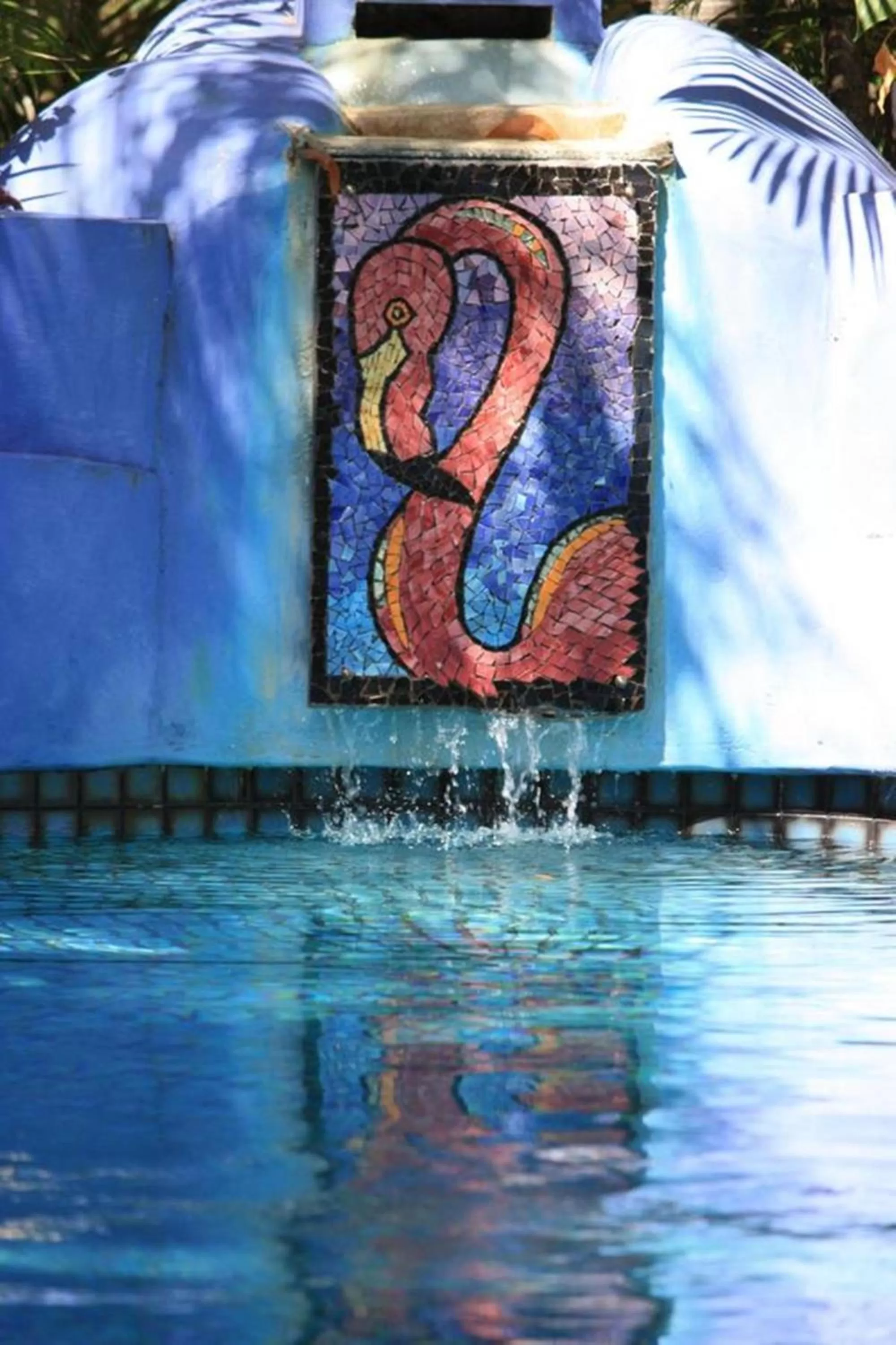 Swimming pool in Pink Flamingo Resort