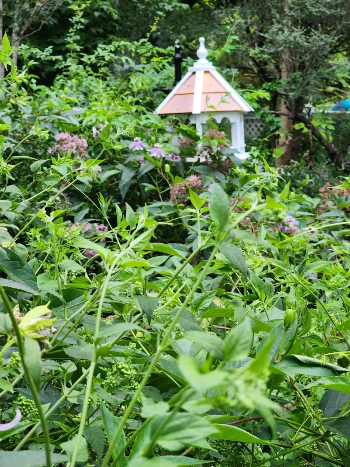 House of 1833 Bed and Breakfast