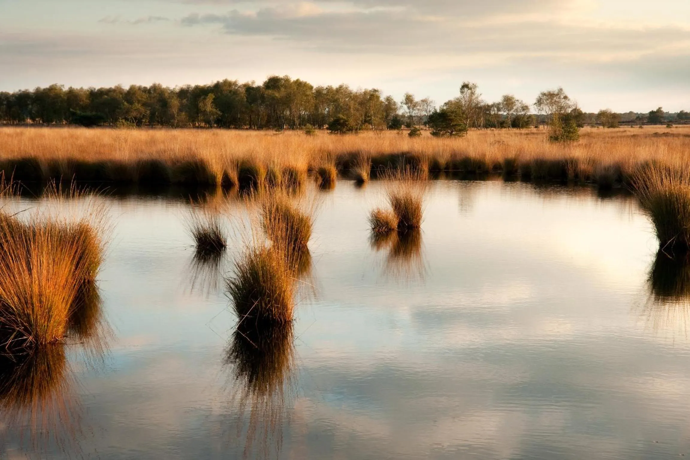 Area and facilities in Grenshotel de Jonckheer