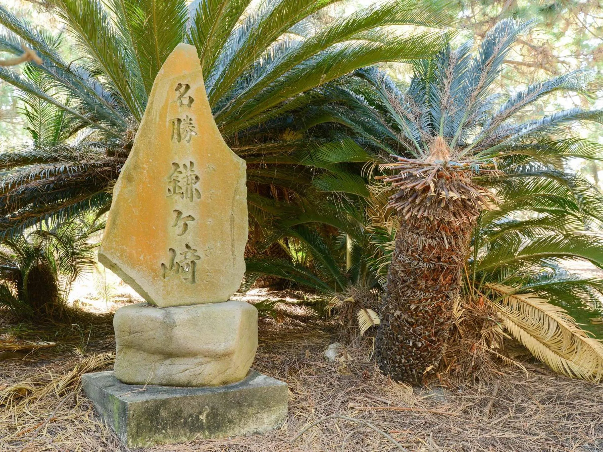 Off site in Hotel Hagoromo