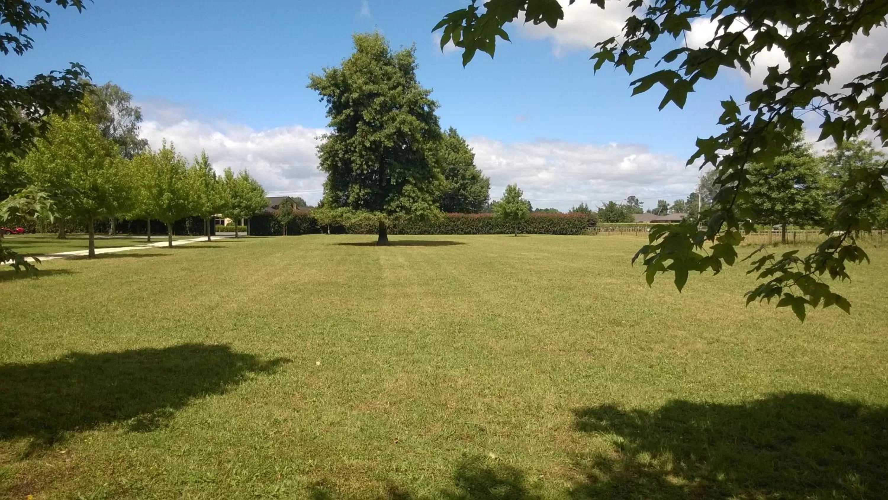 Natural landscape, Garden in Korbaylen Estate