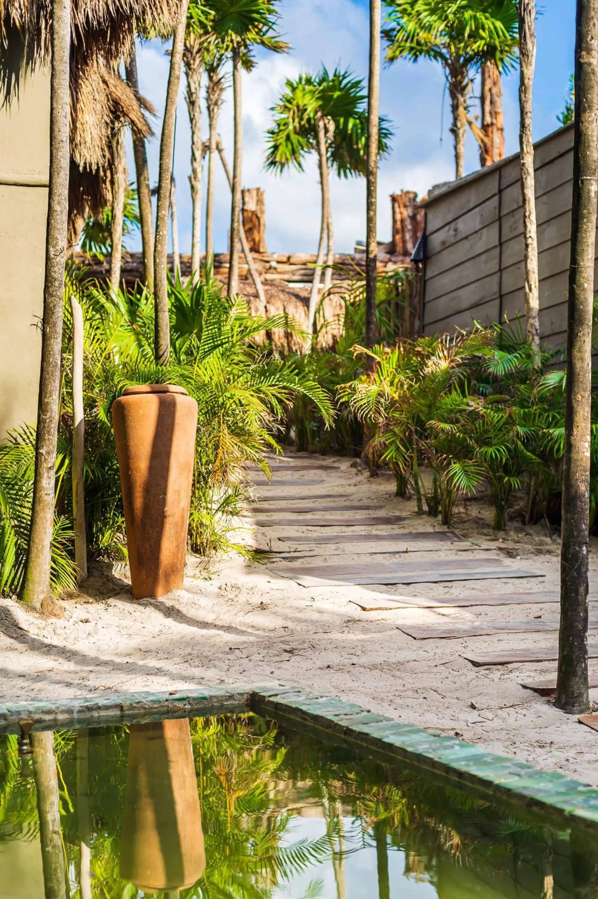 Spring in Casa Phoenix Tulum