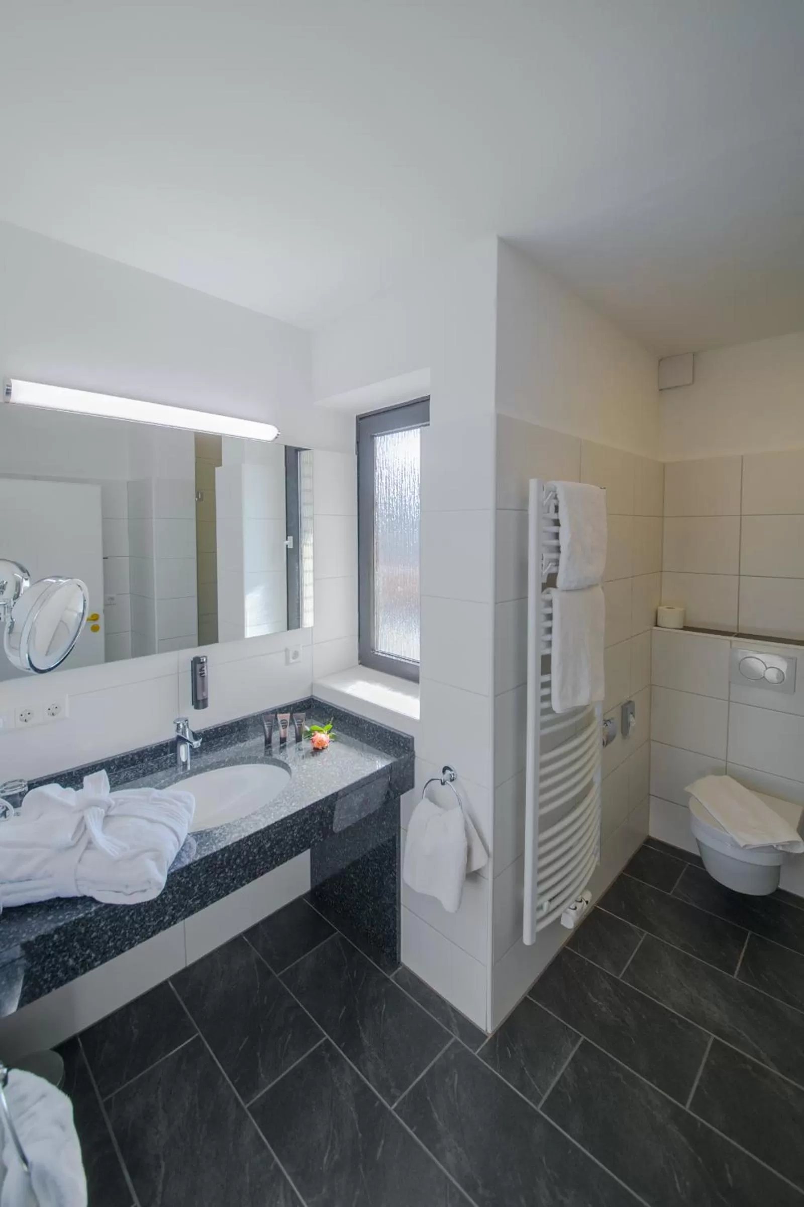 Decorative detail, Bathroom in Wellness Hotel Harms