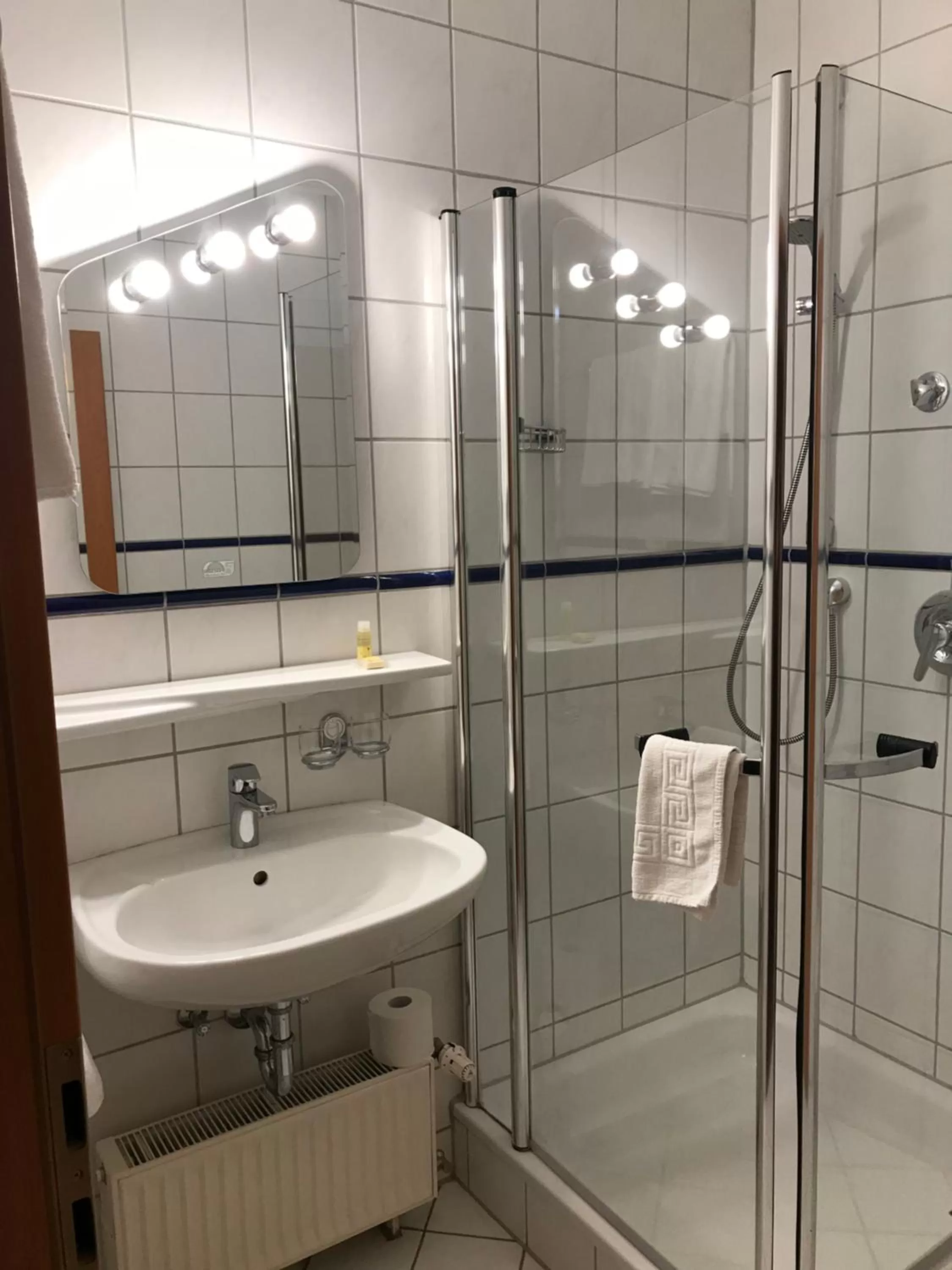 Shower, Bathroom in Hotel-Gasthof Hüttensteinach